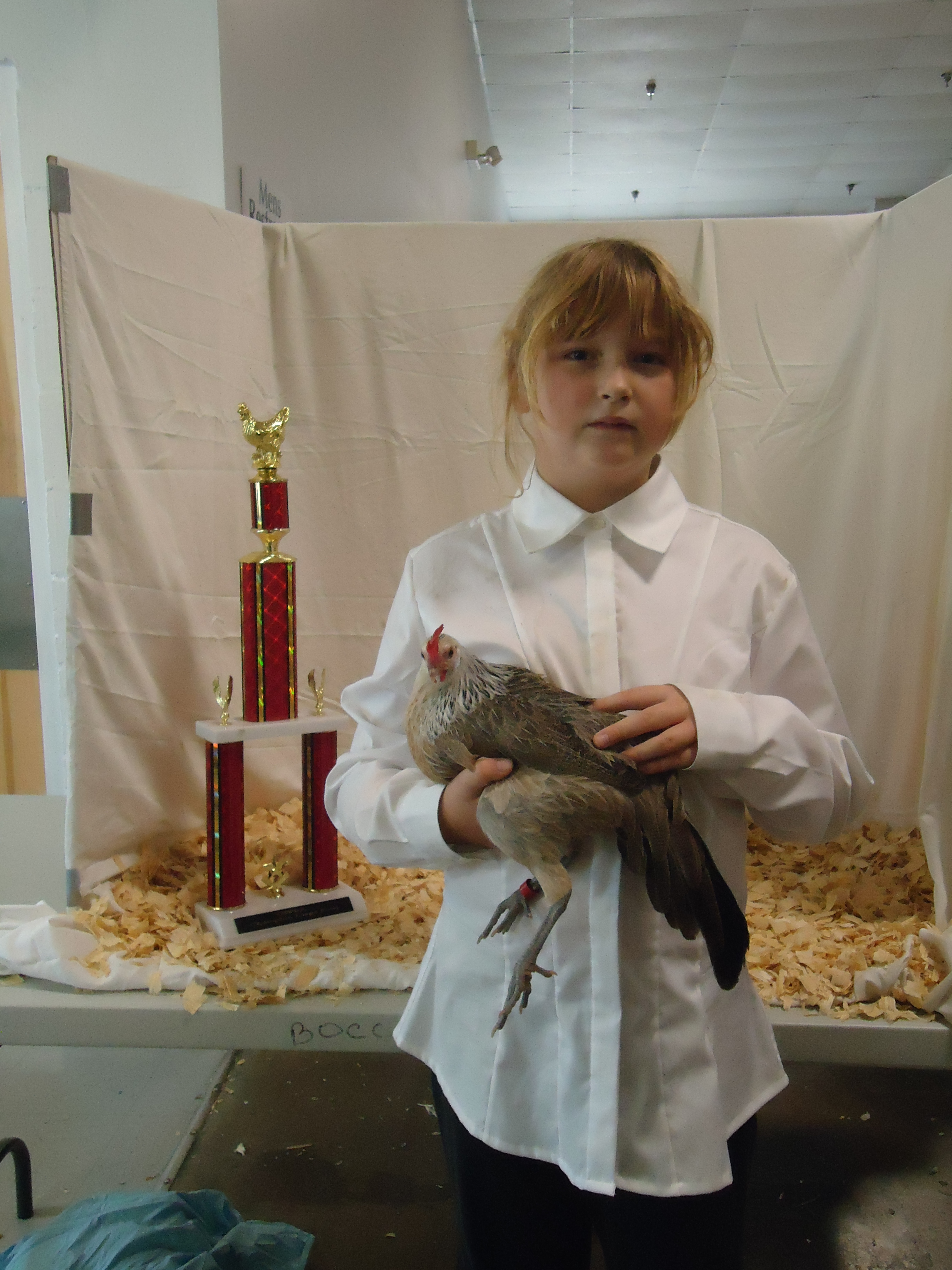 2011 Inverness,Fl show. My daughter, Kaycee and her pullet showing off 
Their Champion trophy.