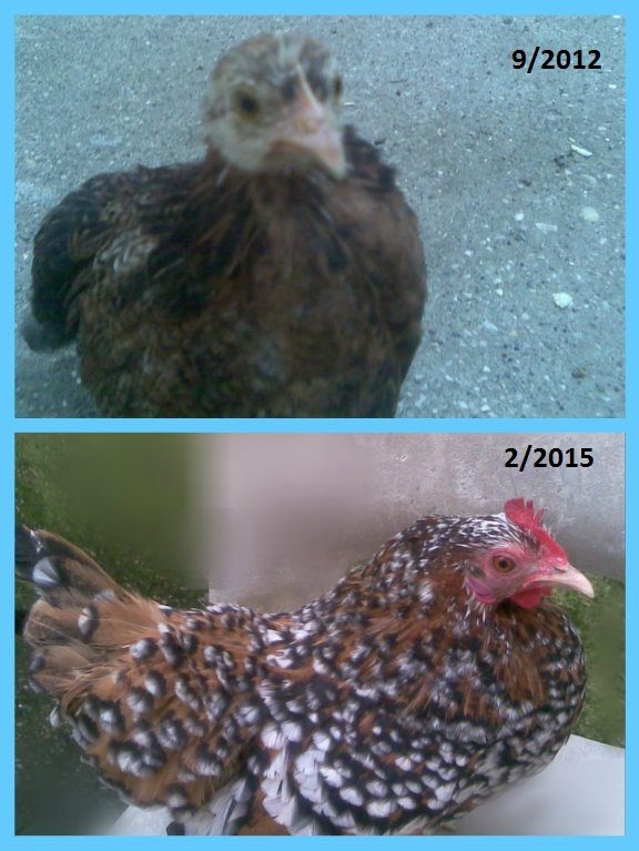 2012/2015 :)