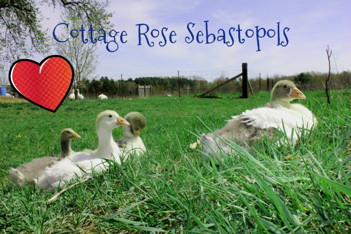 2013 babies chillin'.