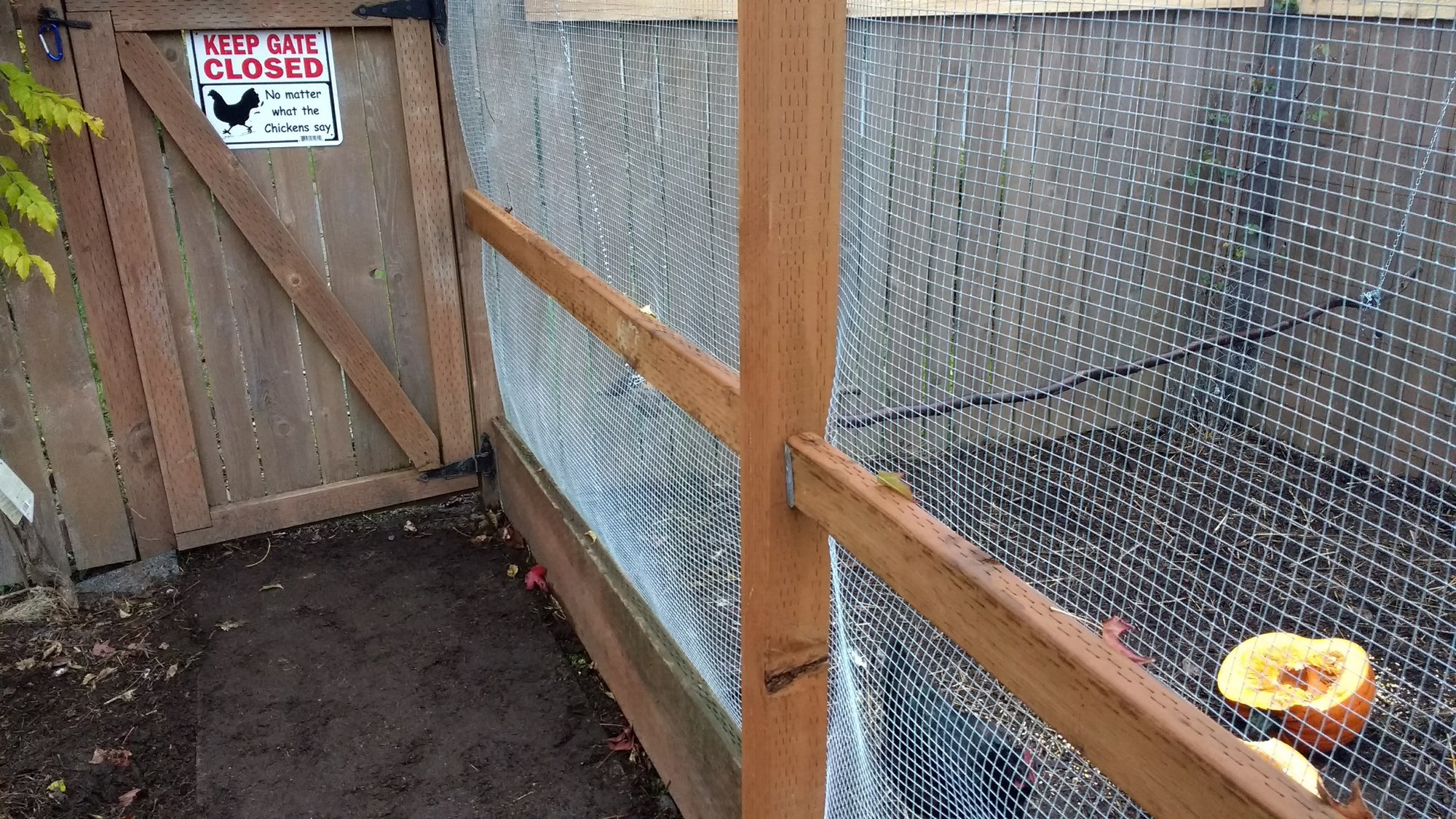 2016 Chicken Run Enclosed