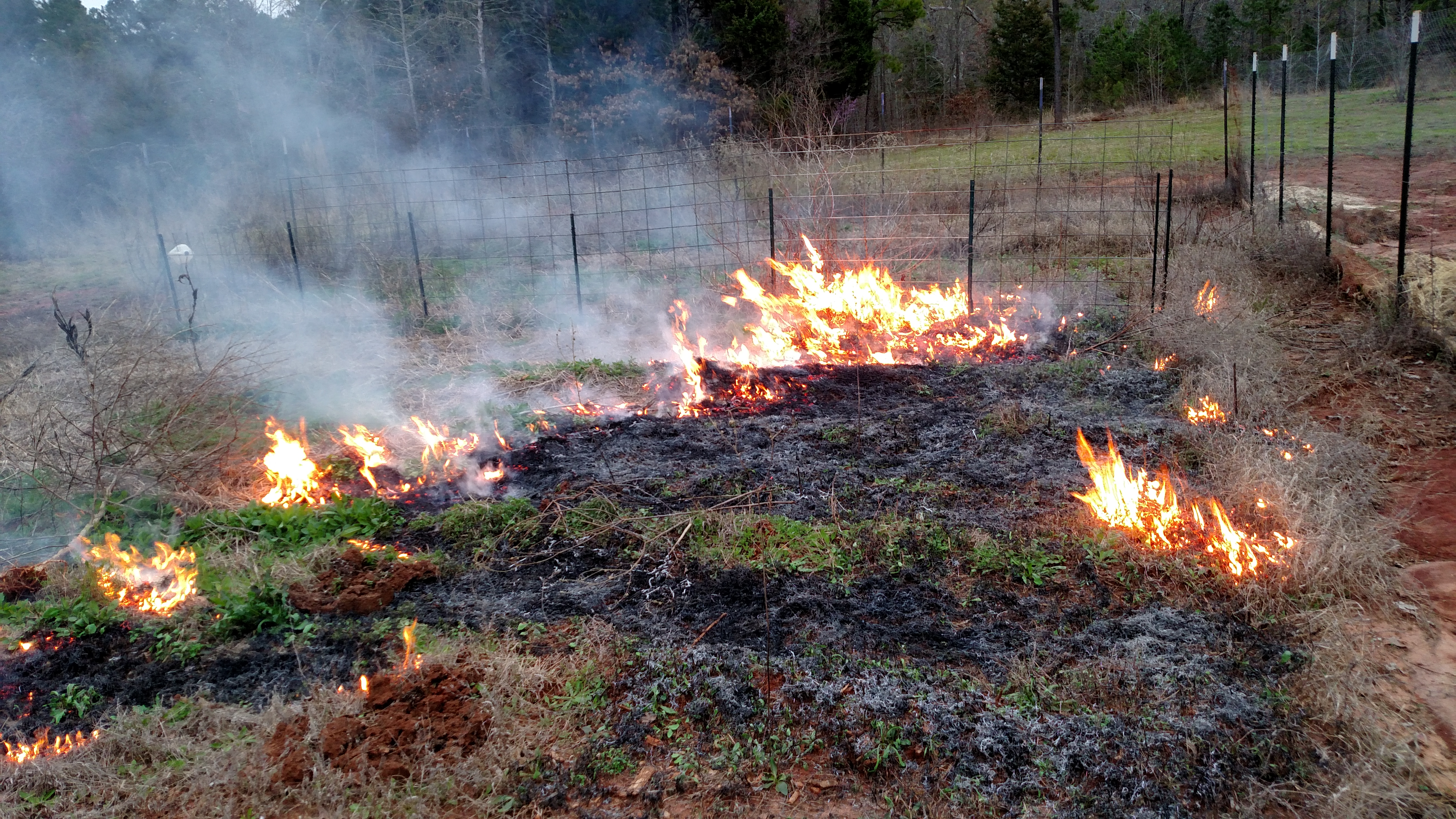 2016 garden burn off.  Yep, I am a little behind on everything...  Should have done this a month ago and got started on garden then.  Oh well, no set schedule here on Redhill.  Best of wishes to all the gardener's out there this year!