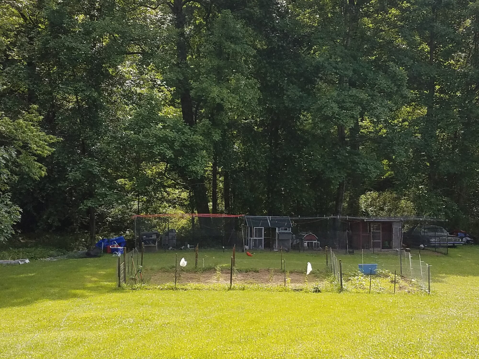 20170628_162856