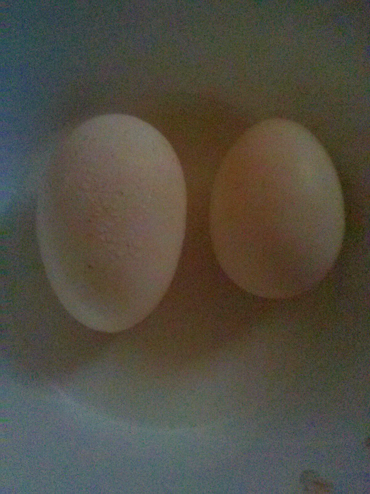 20170729 Gumby's Eggs 1 and 2