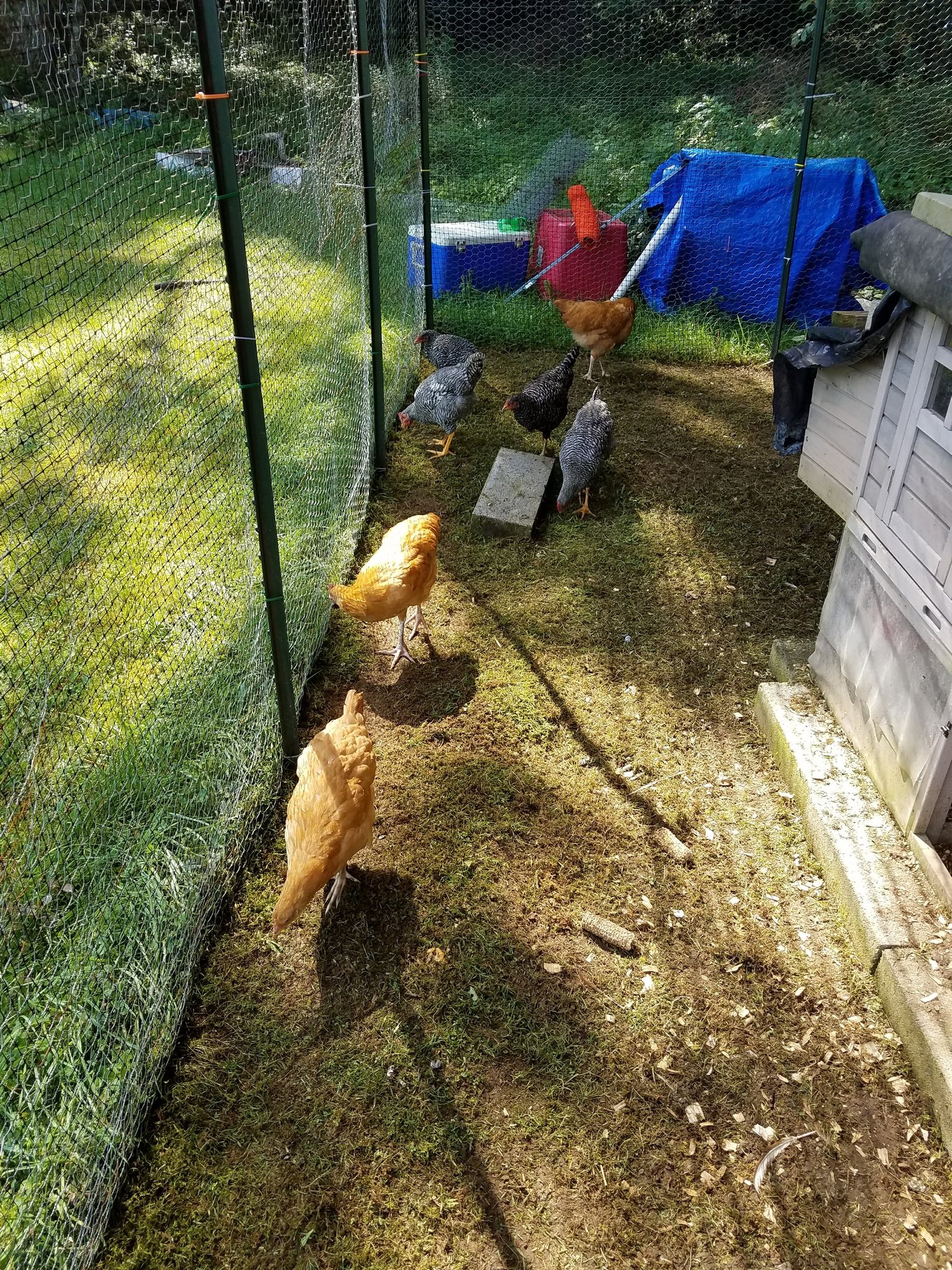 20170821_112153