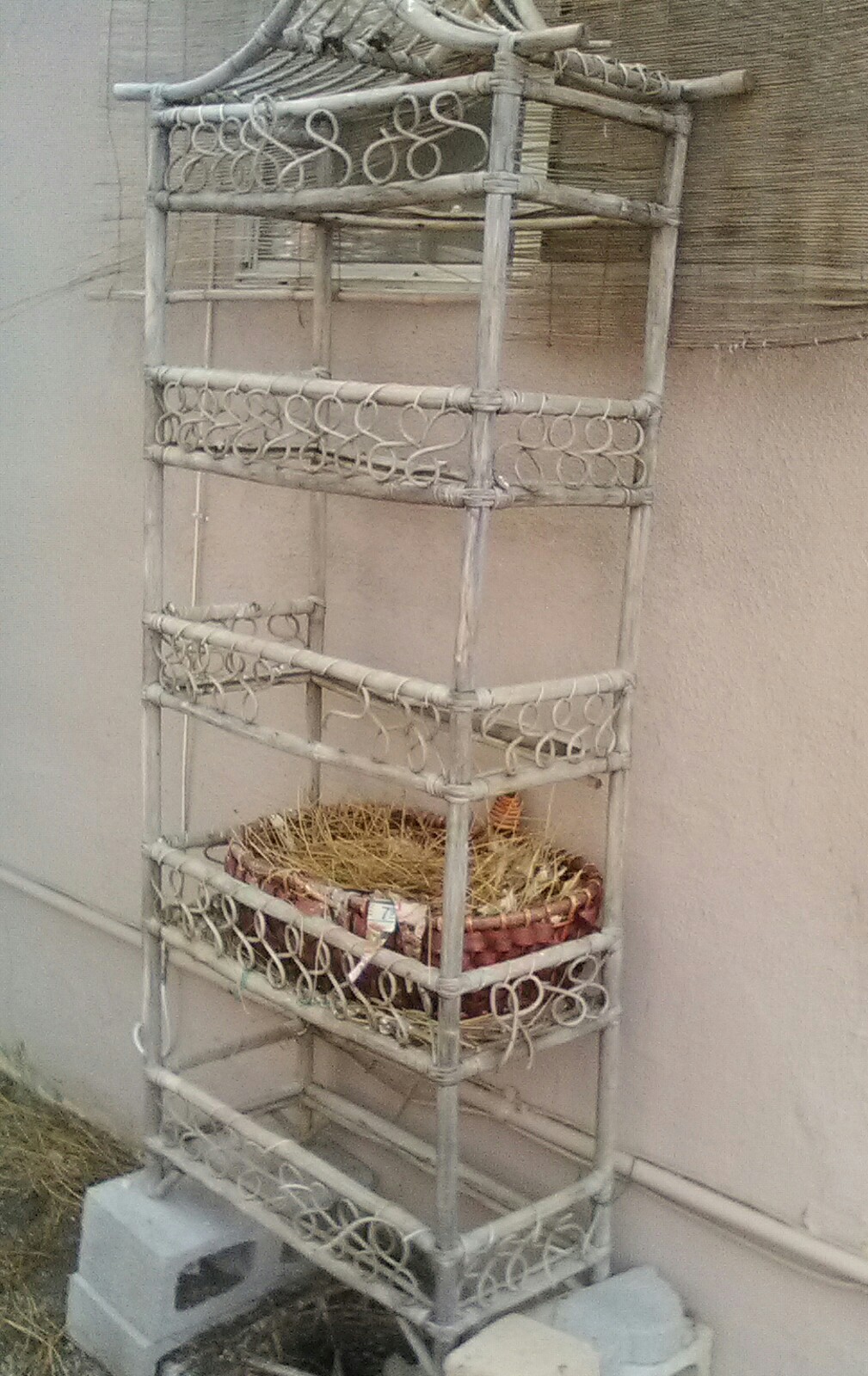 20170911 Ratan plant shelf now Roost & Nest
