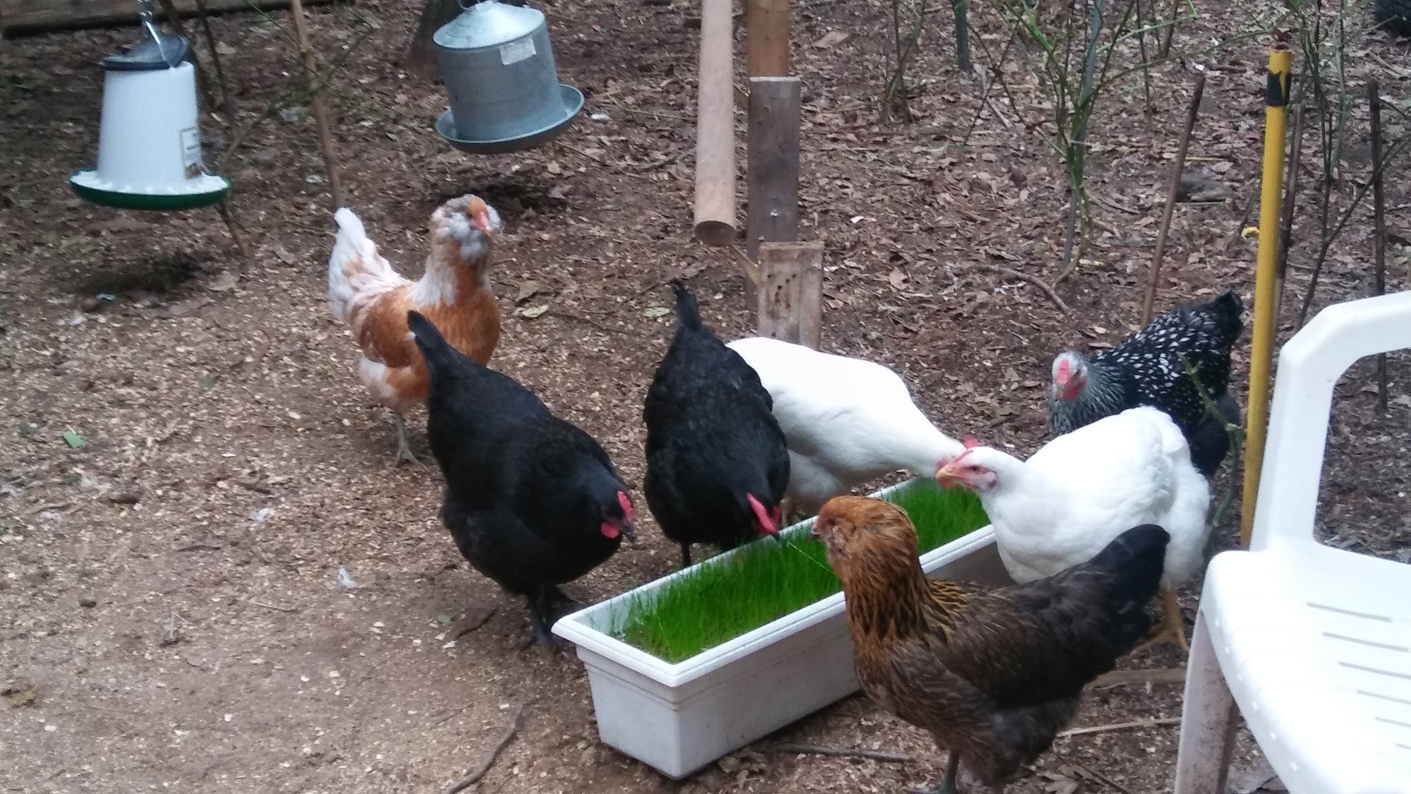 20171027_101758_Burst01