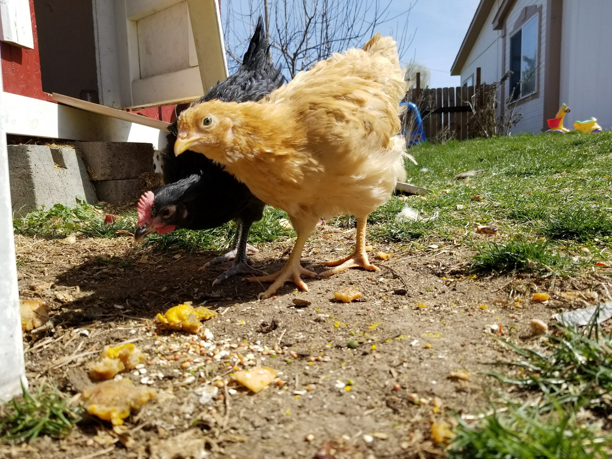 20180403_131407