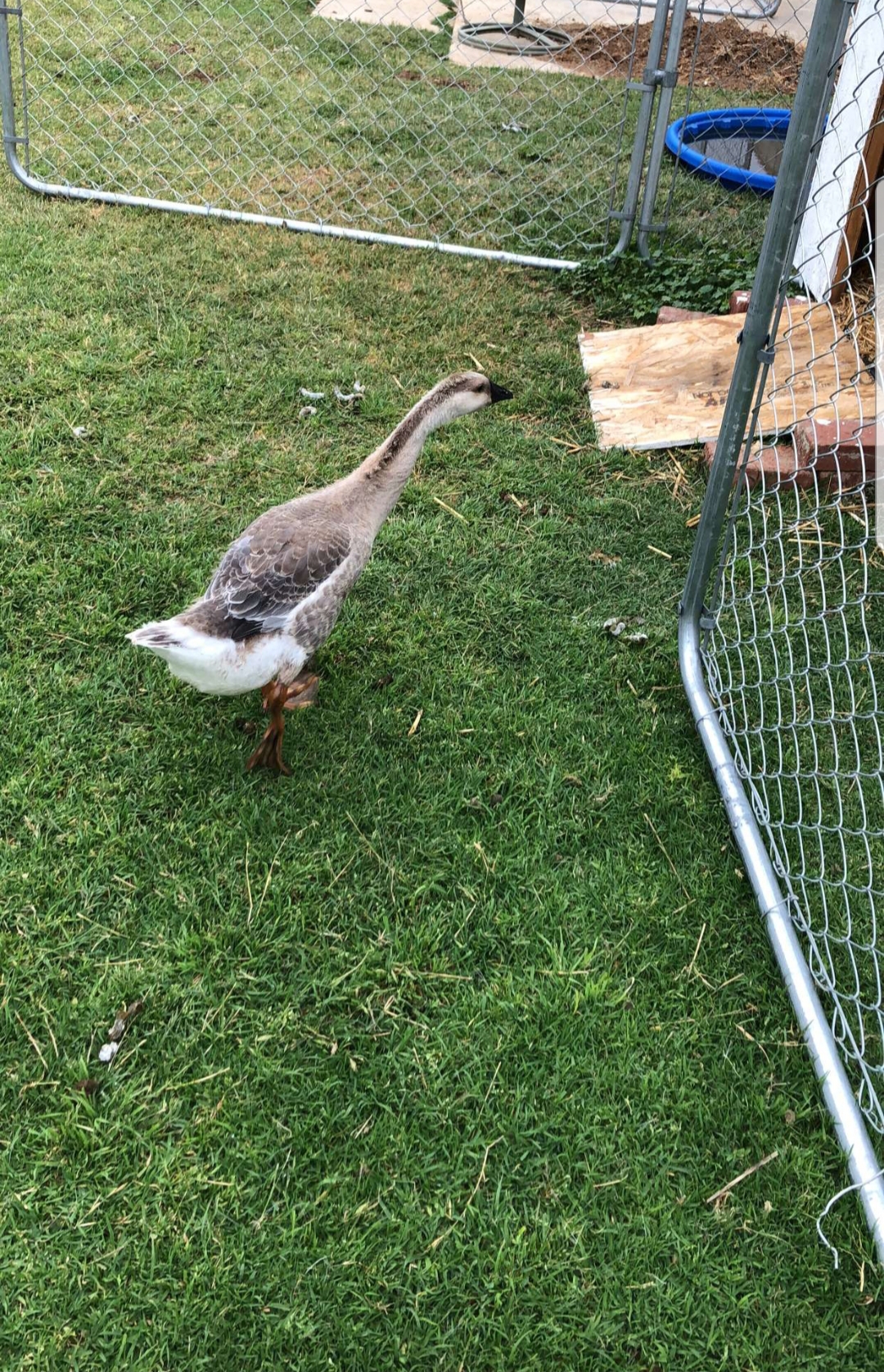20180501_182038