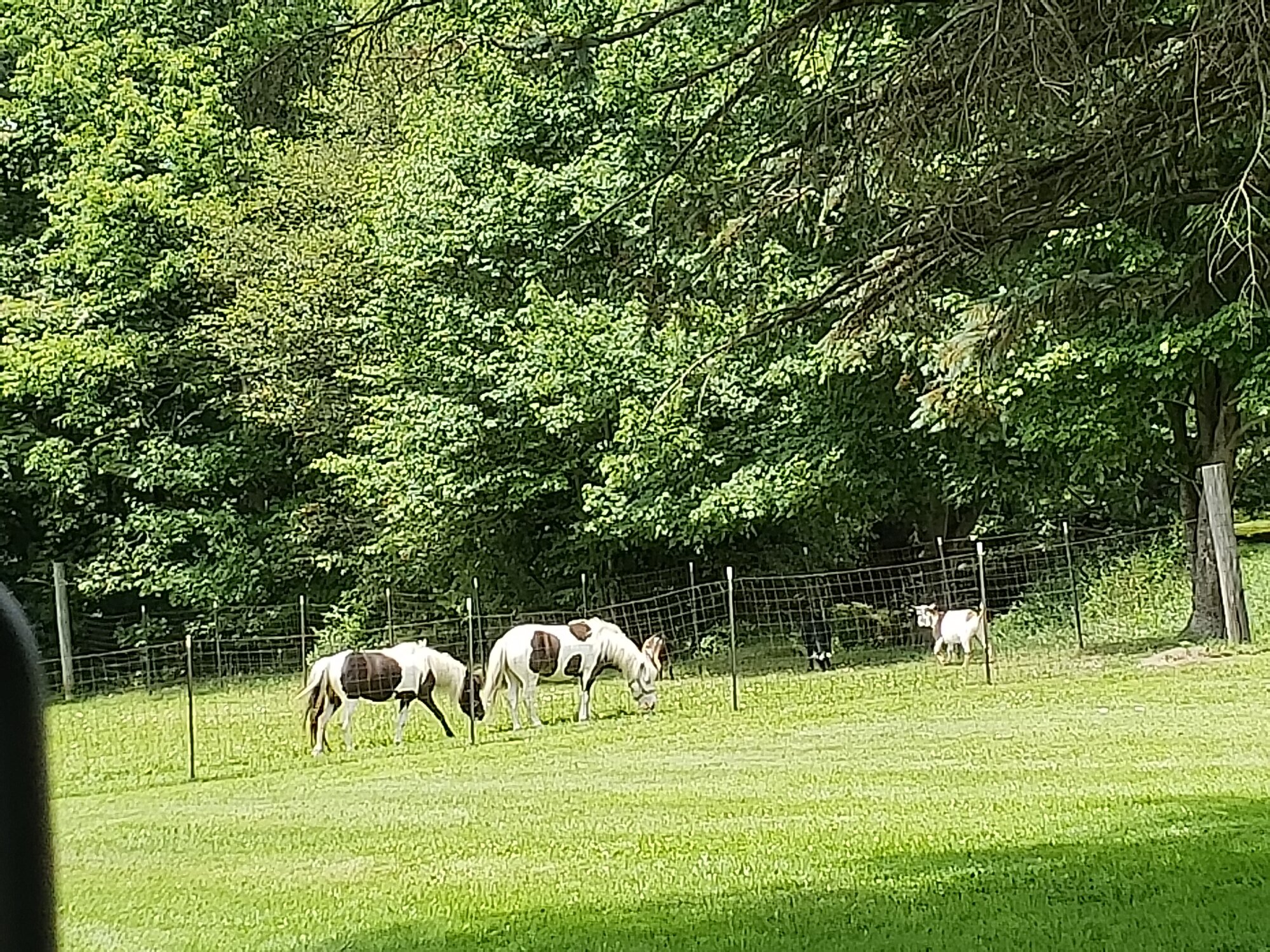 20180712_142641