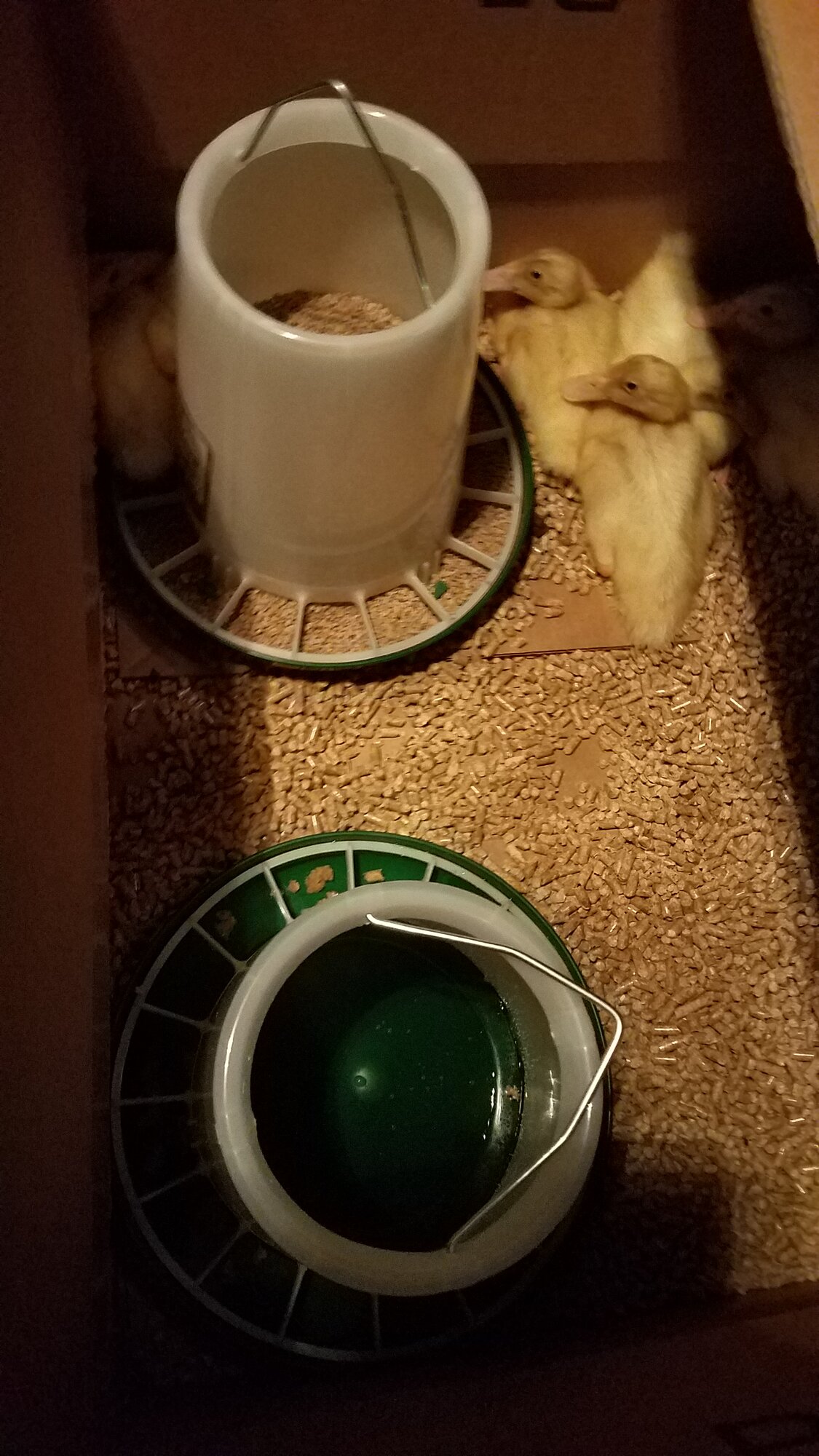 20180723_215126