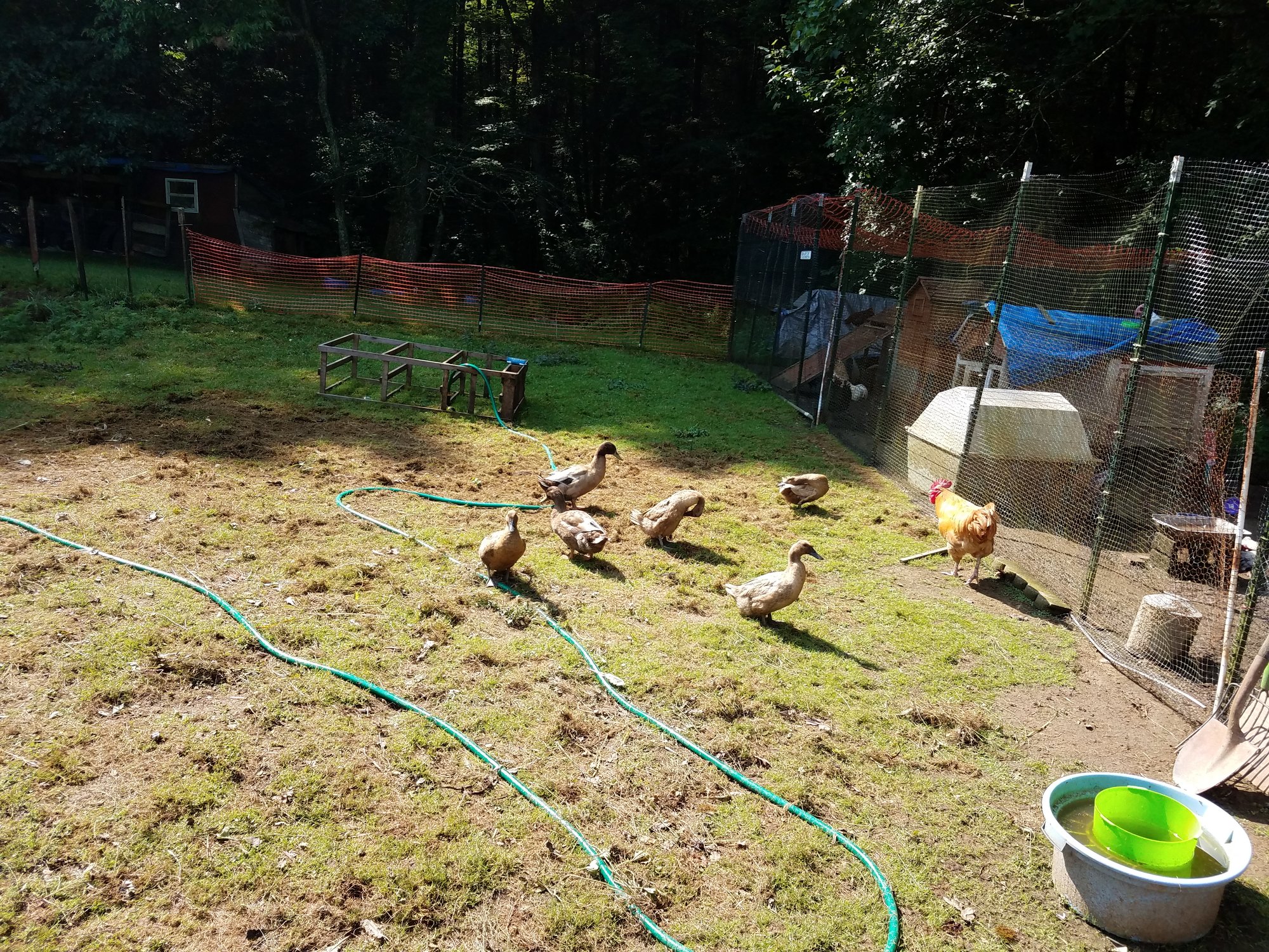 20180726_104524