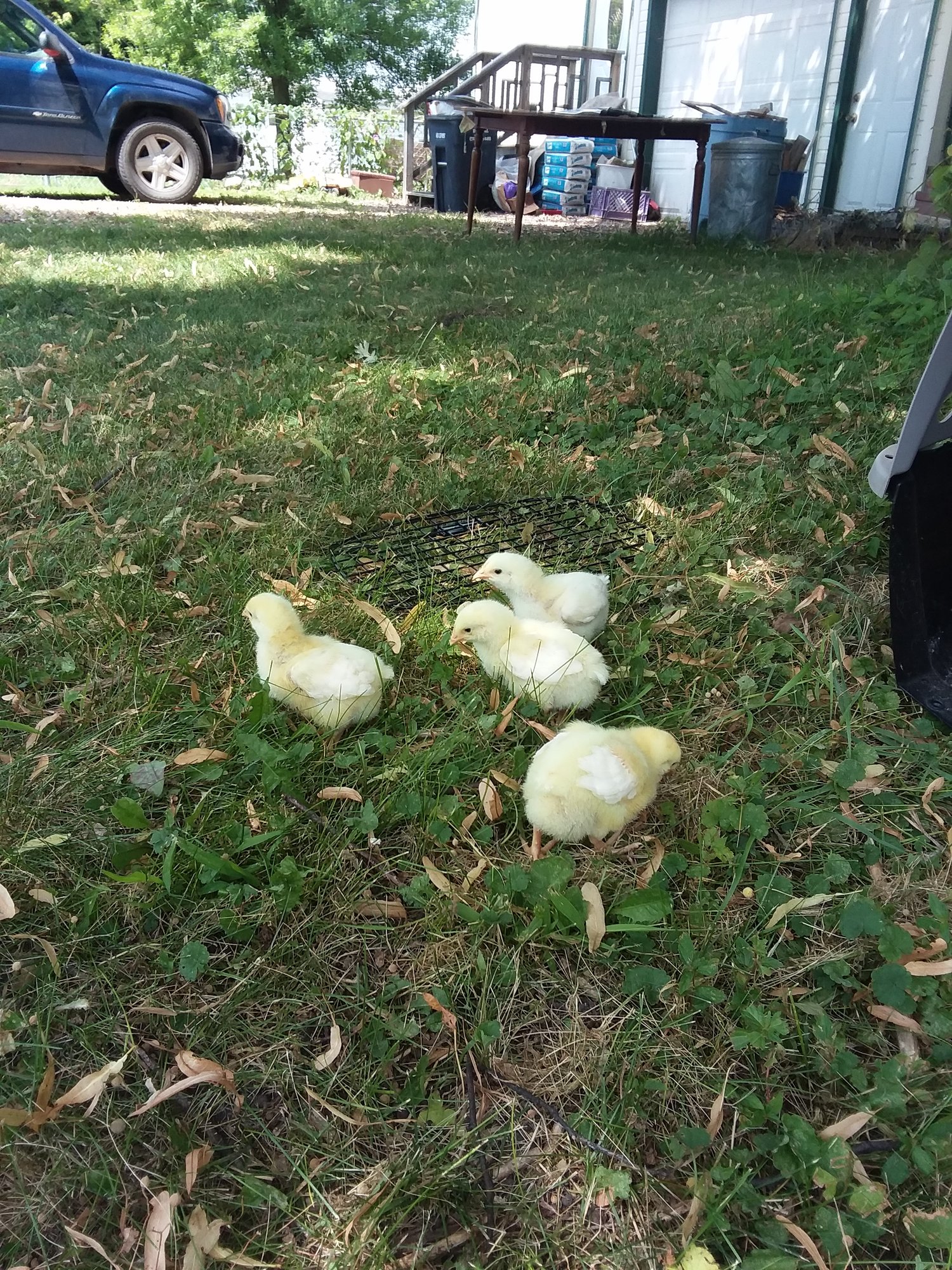 20180802_133316