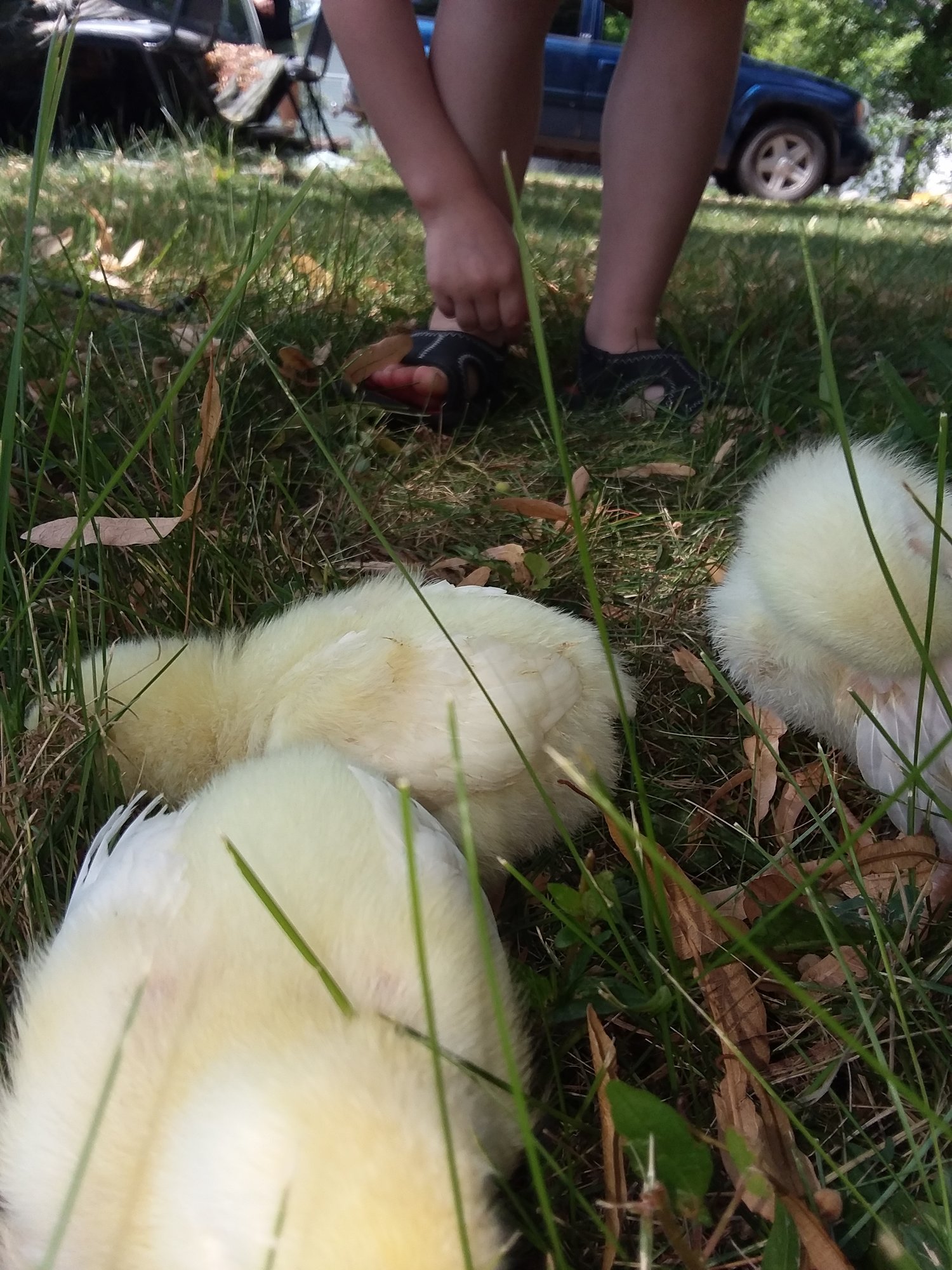 20180802_134143