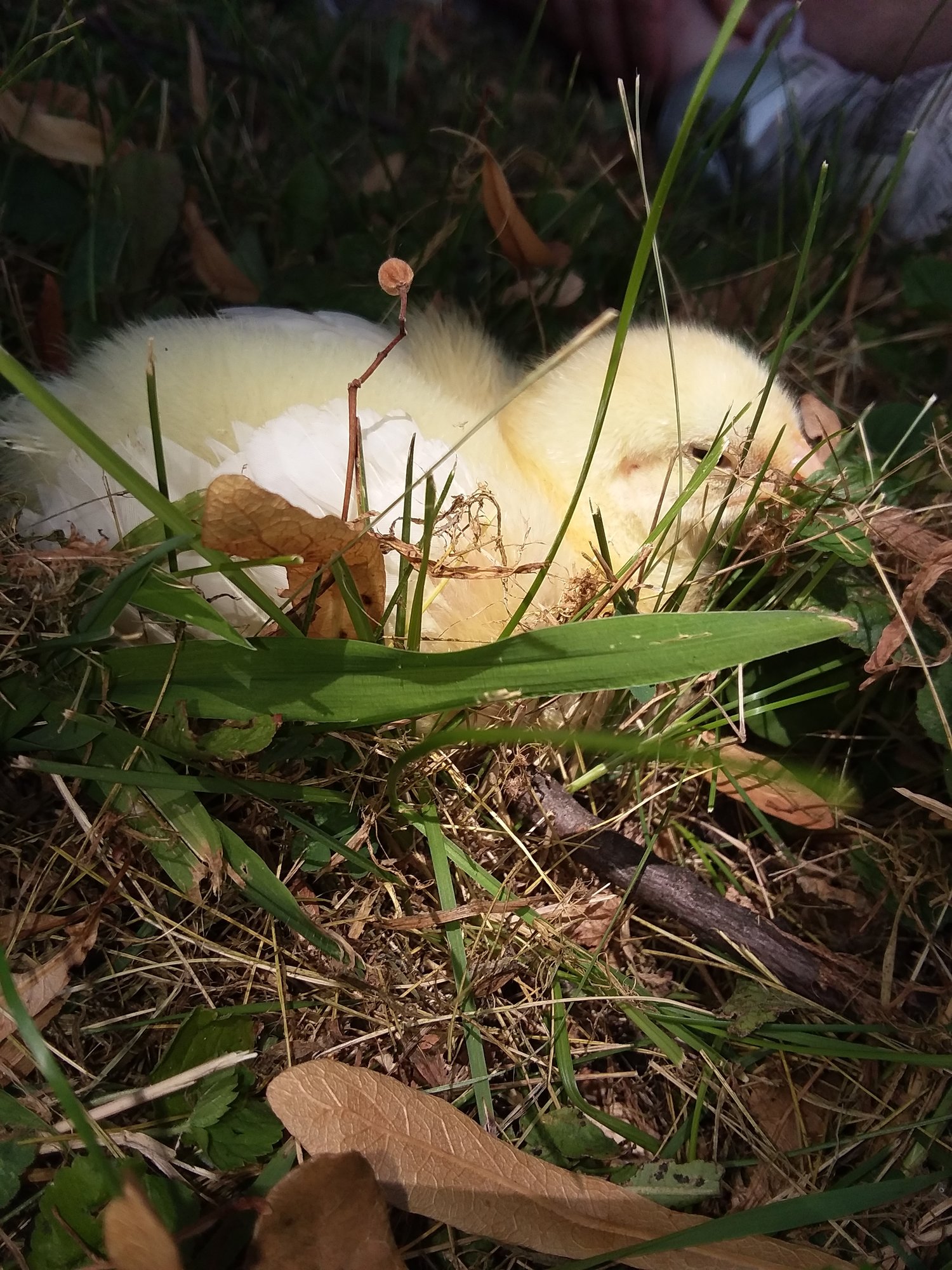 20180802_135012