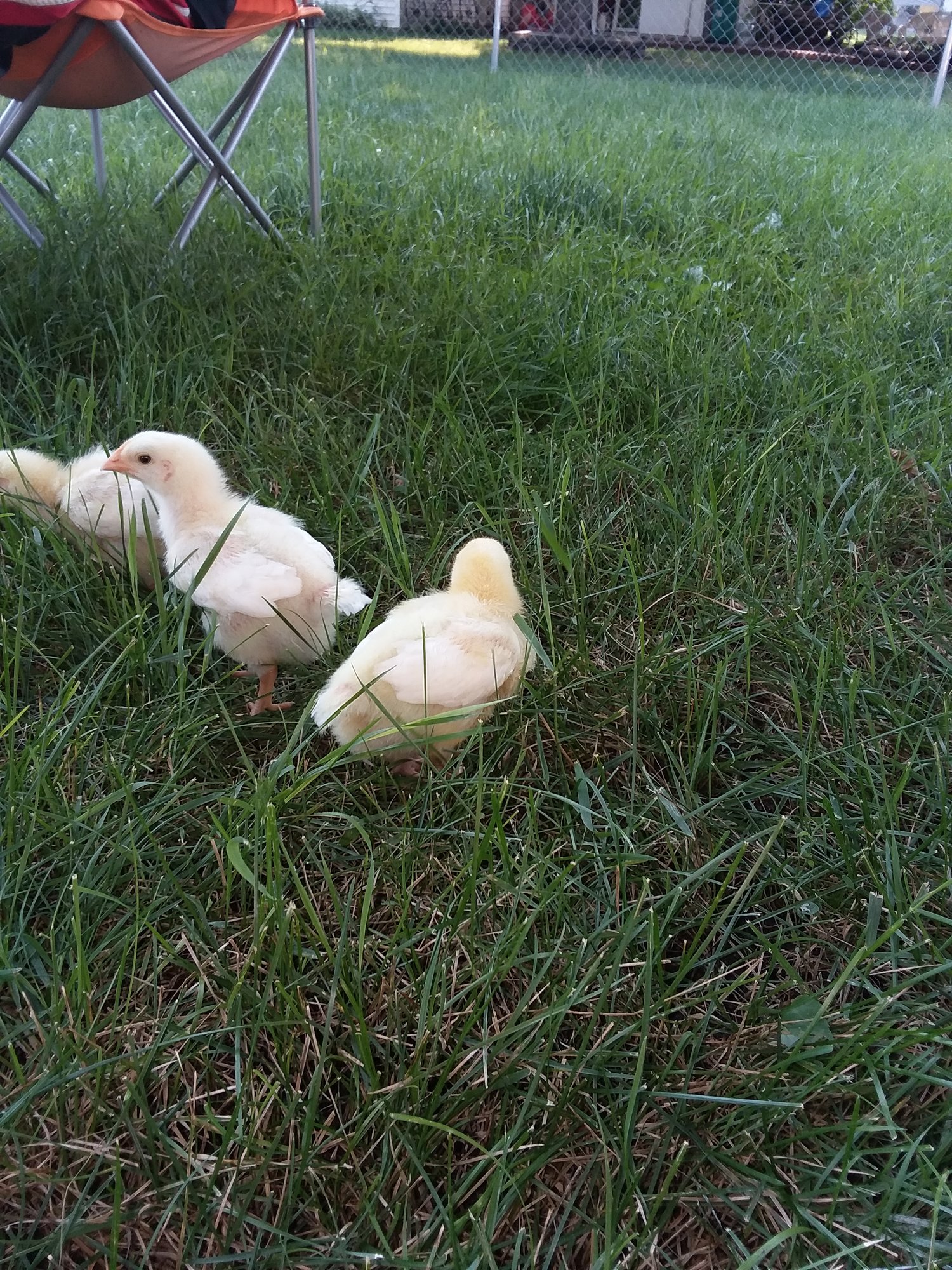 20180806_175837