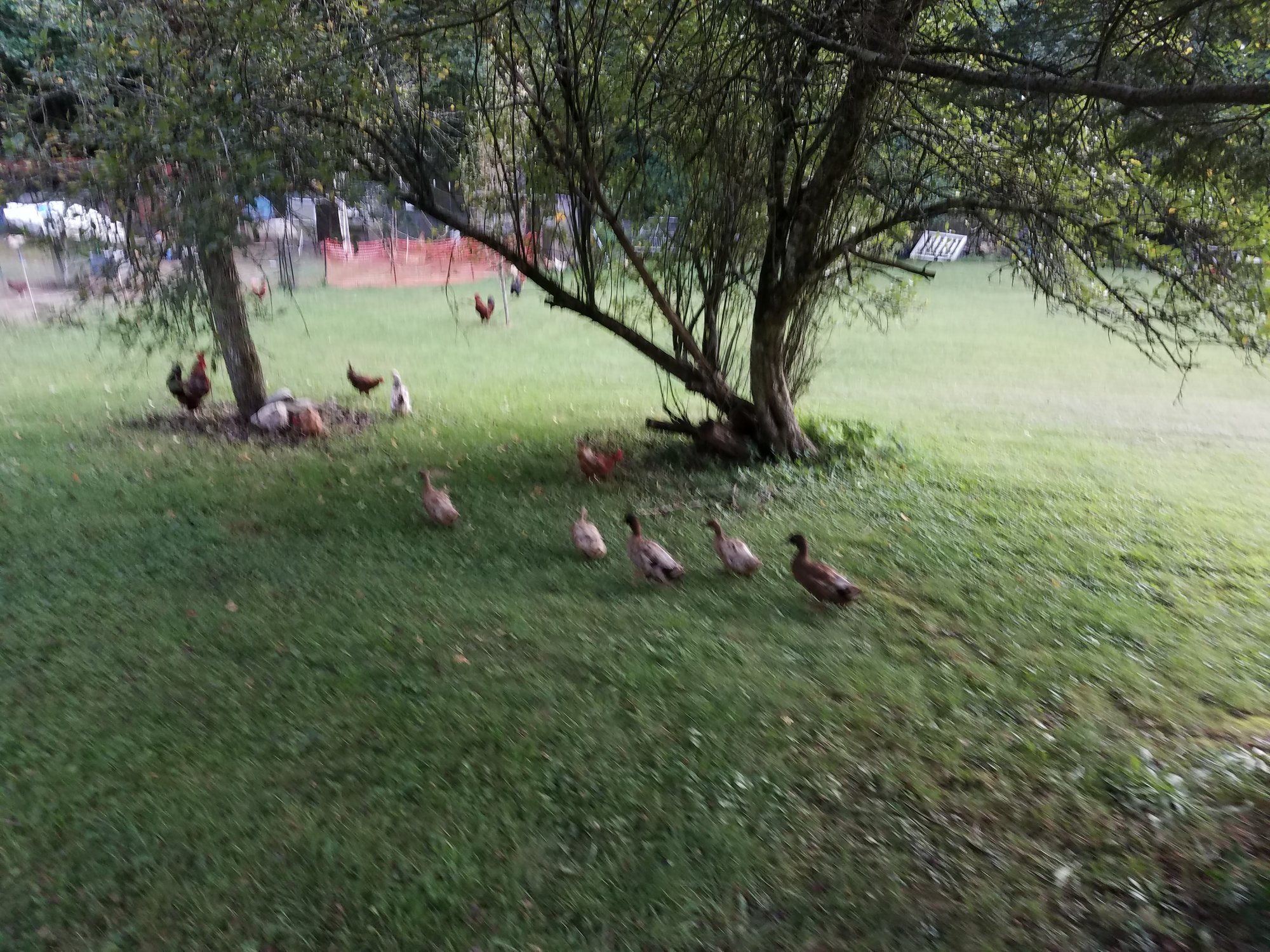 20180825_193356