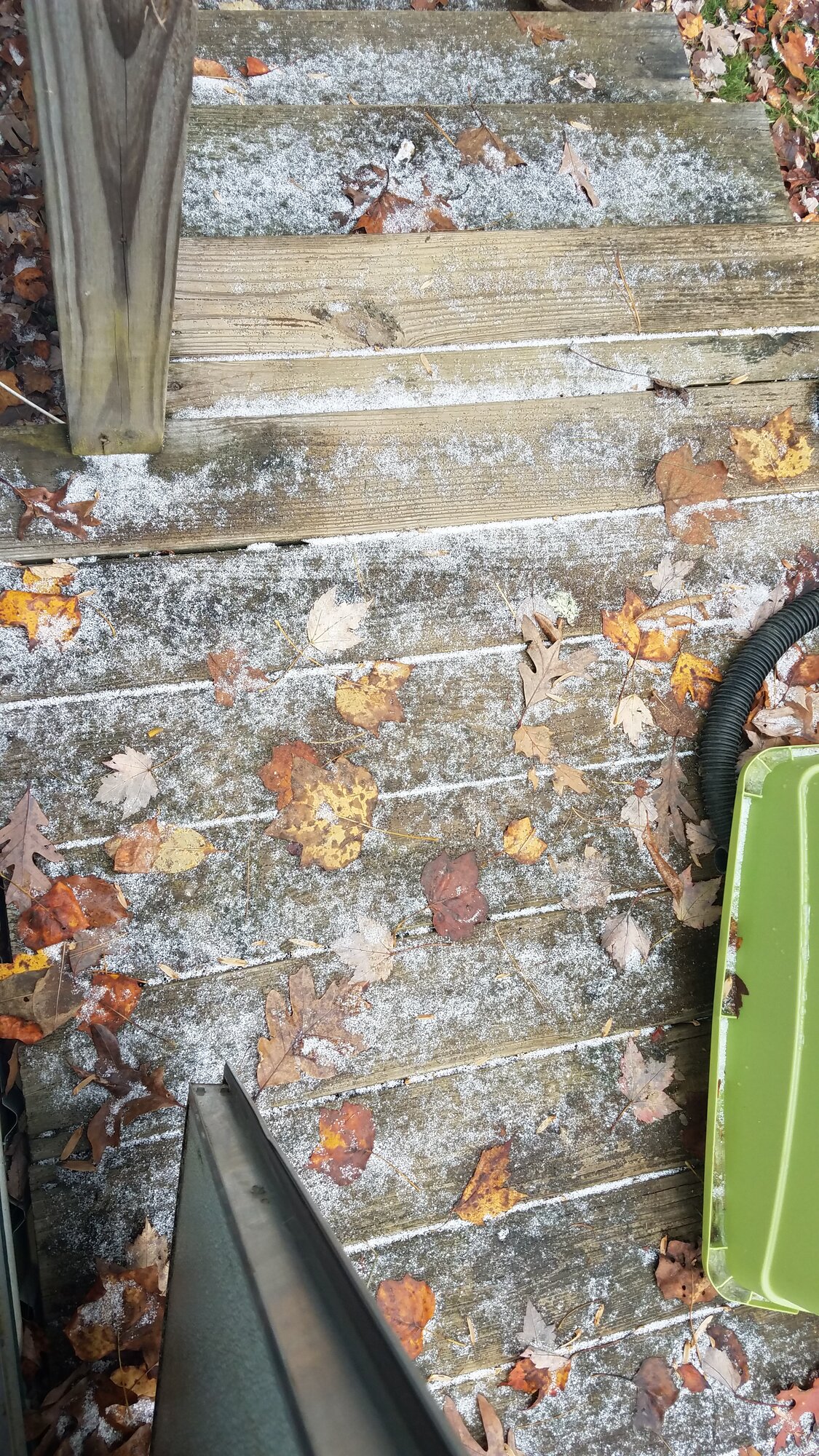 20181110_103601