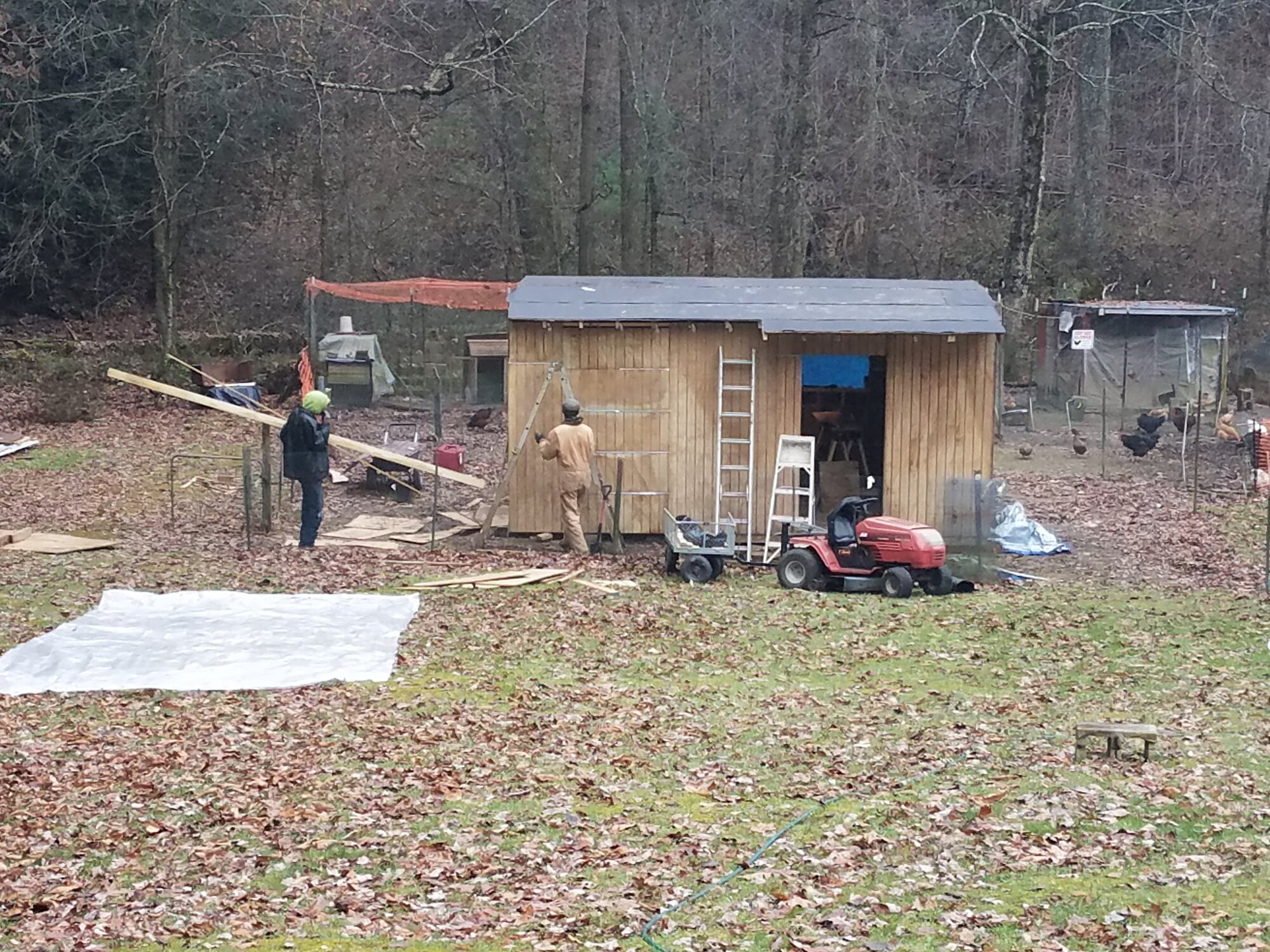 20181114_155024