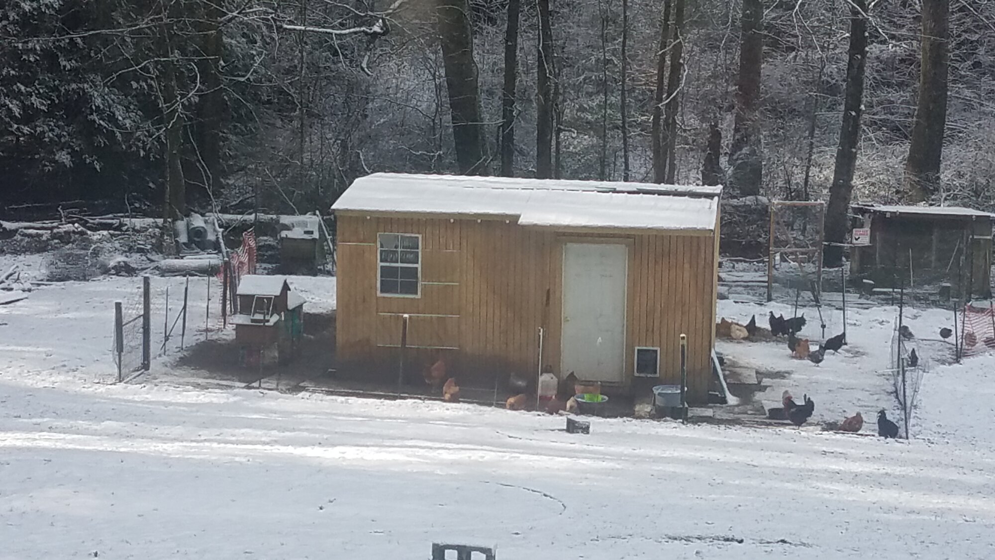 20181225_112534