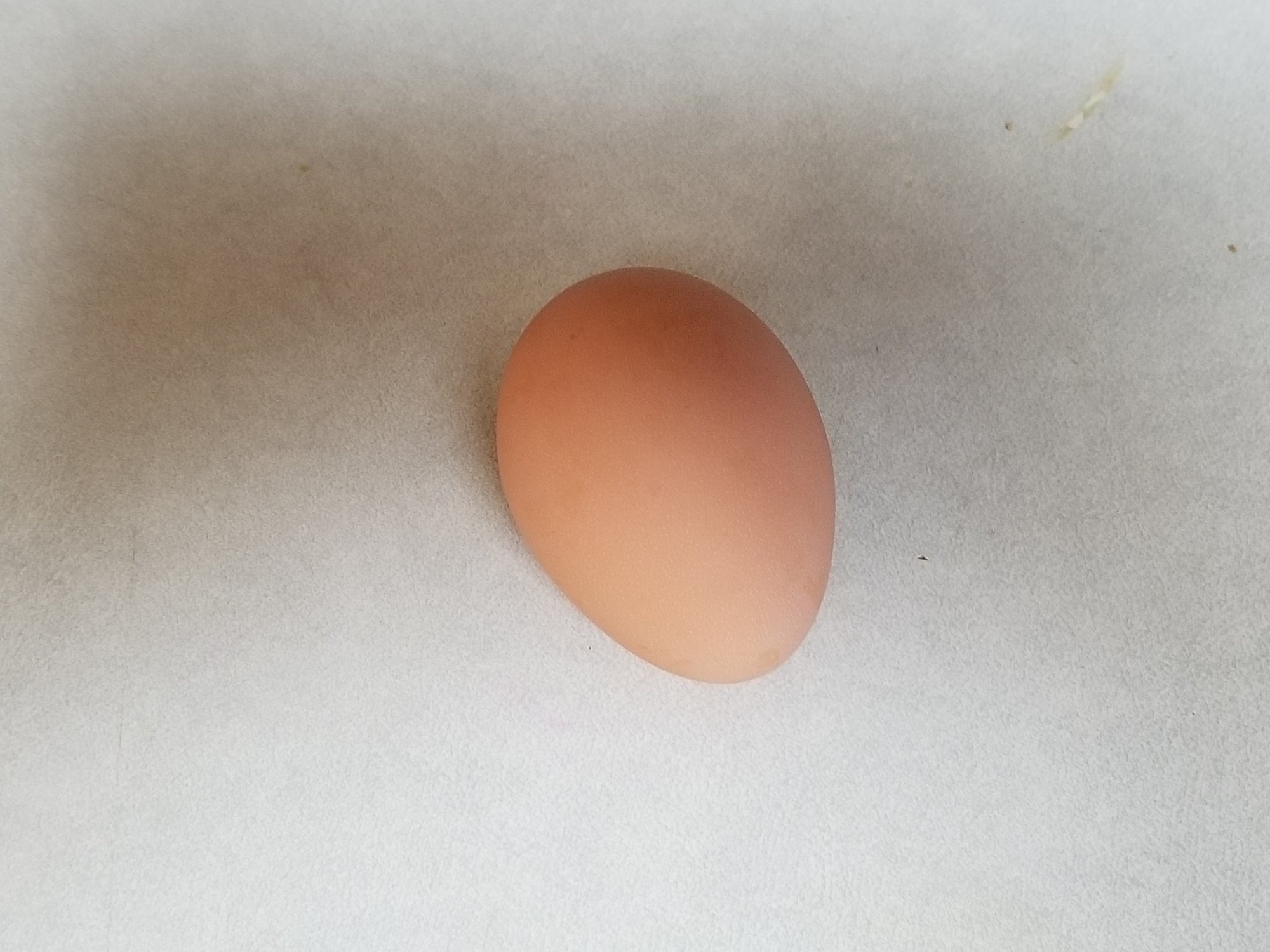 20190105_151130