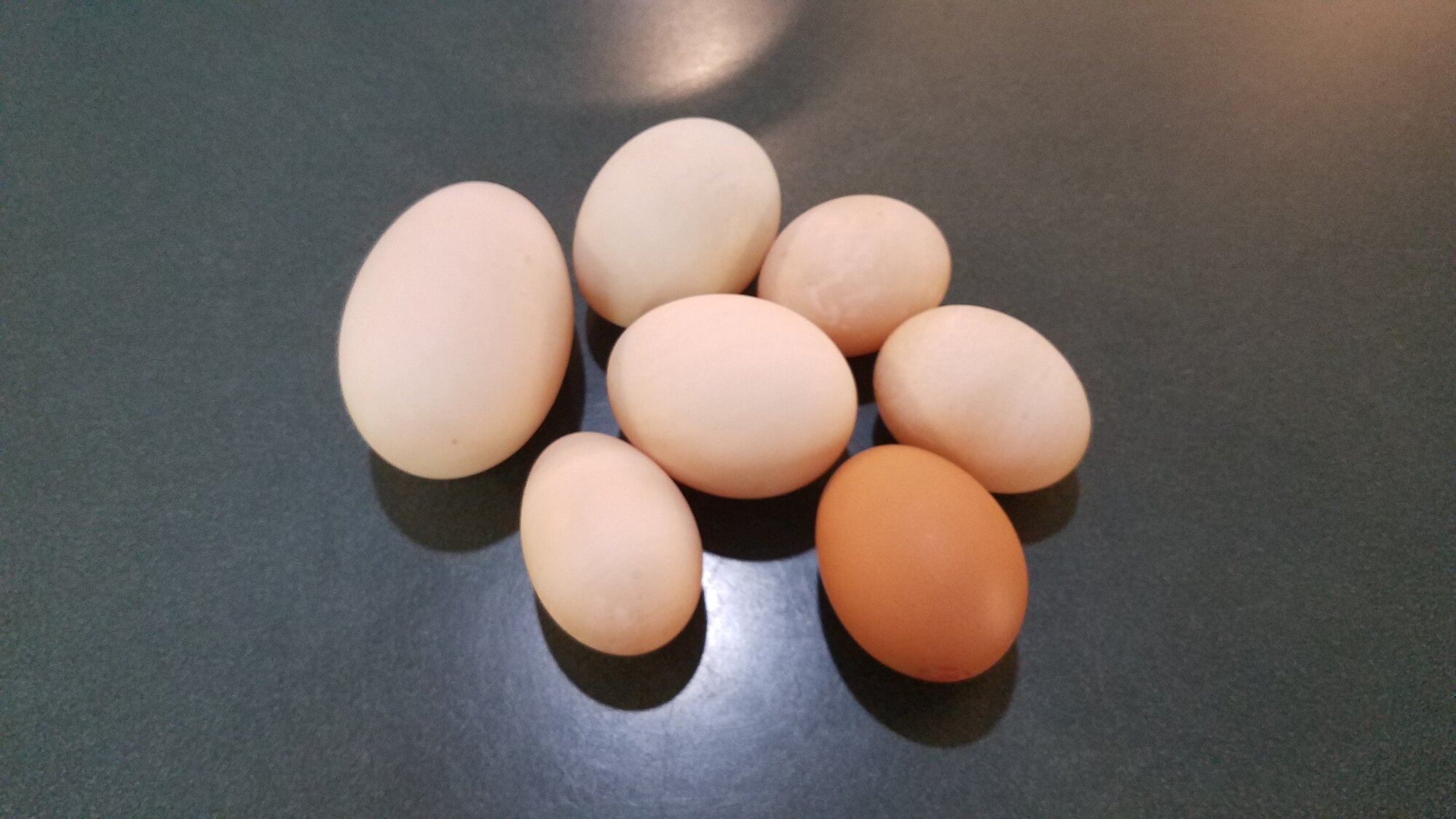 20190609_152013