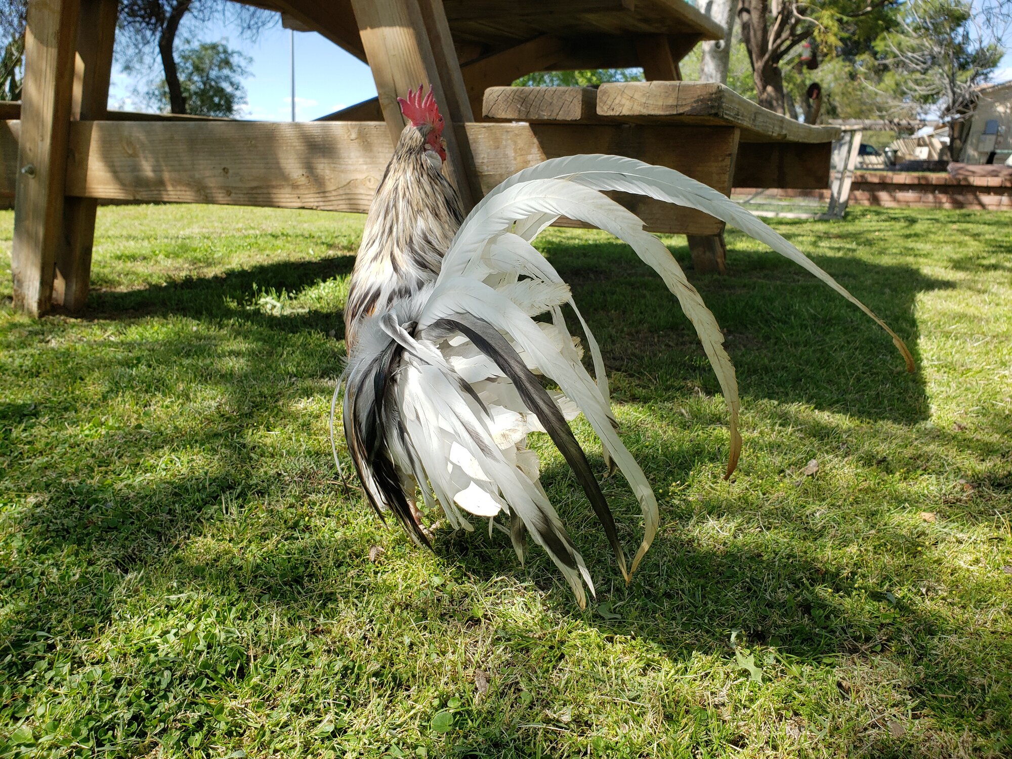 20200321_143227 (1).jpg