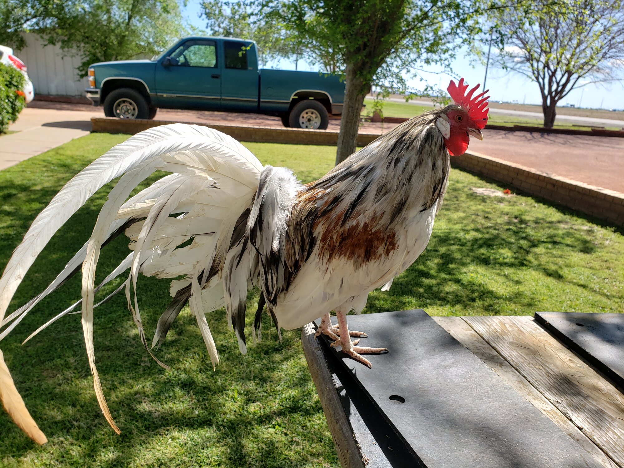 20200321_143244 (1).jpg