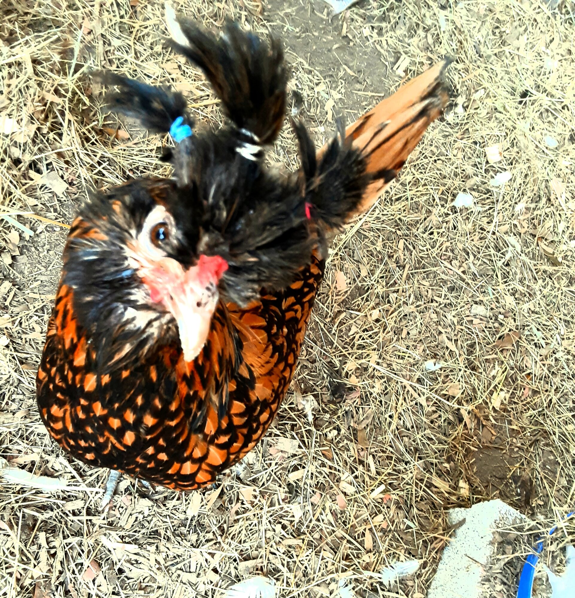 20200705_131710.jpg