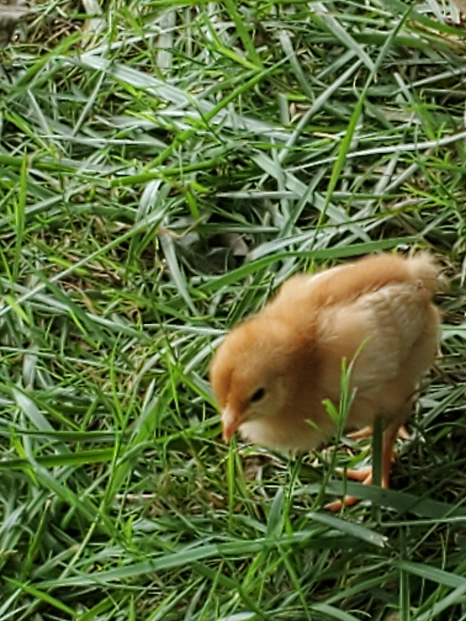20200731_102313.jpg