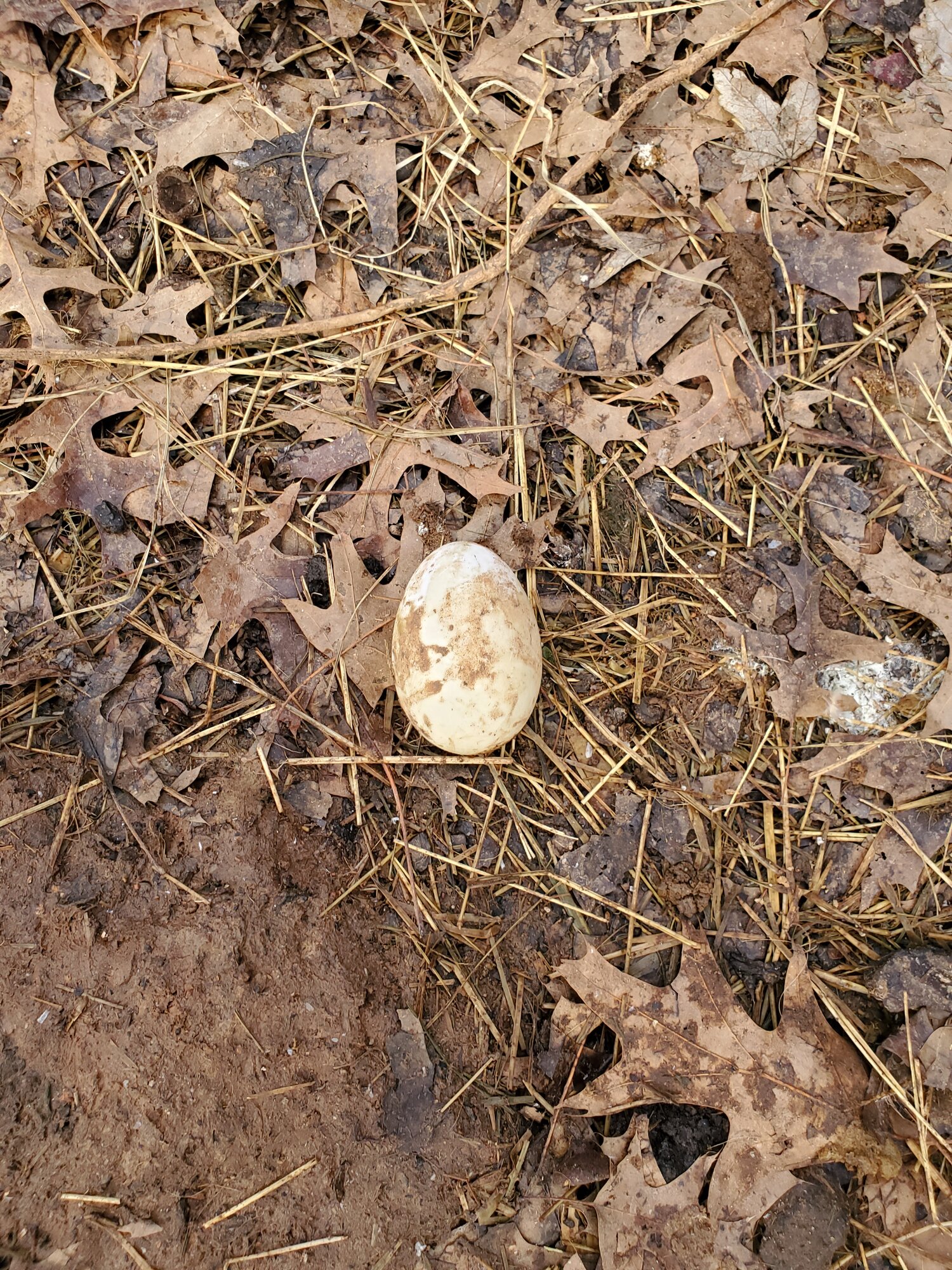 20201202_113430.jpg