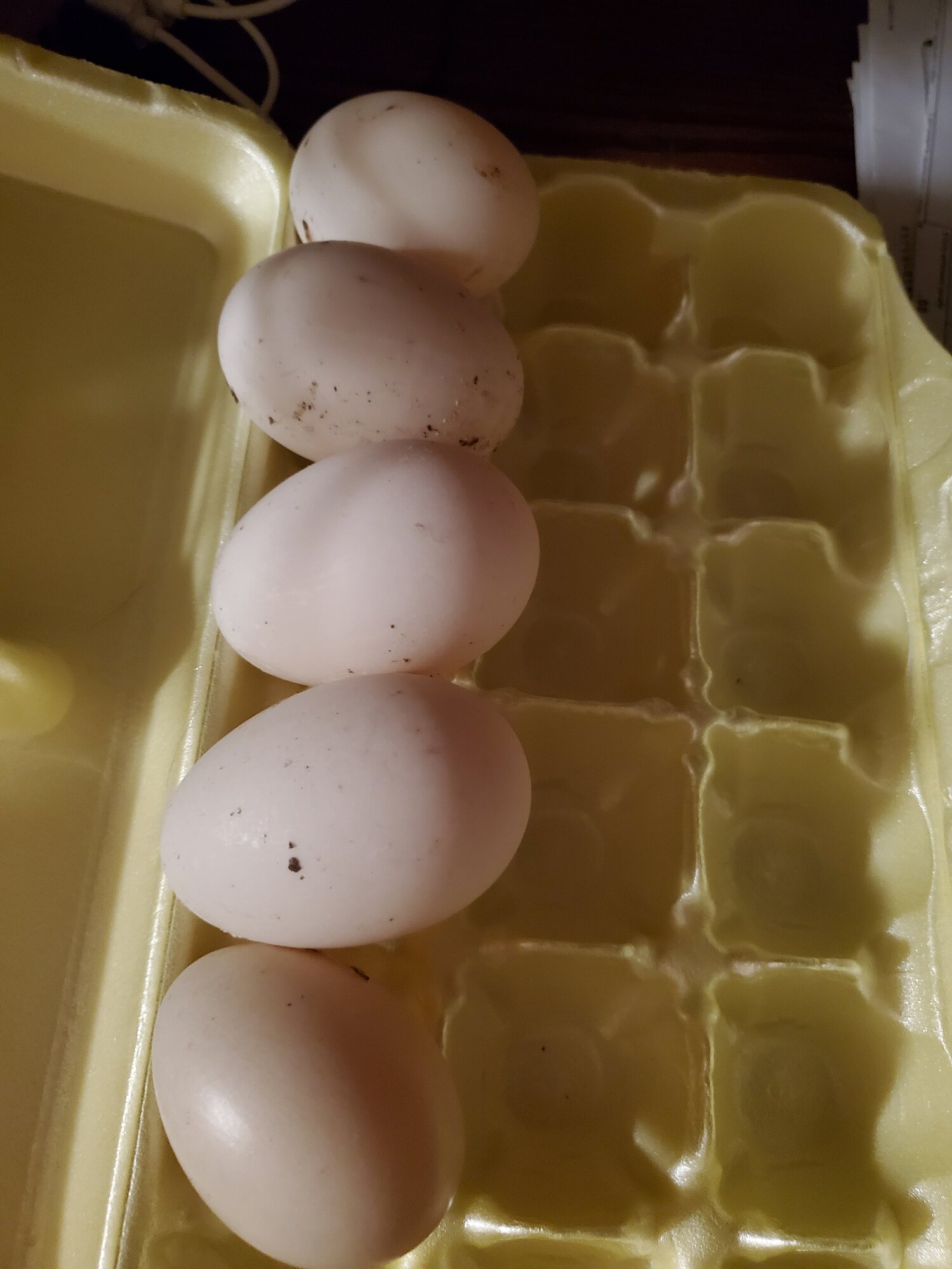 20201227_014902.jpg
