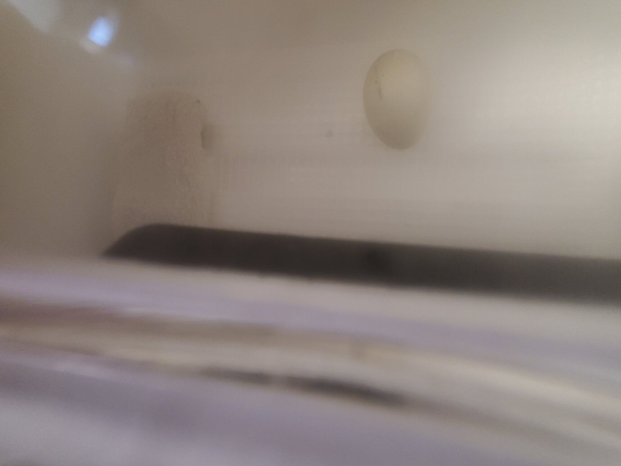 20210123_114555.jpg