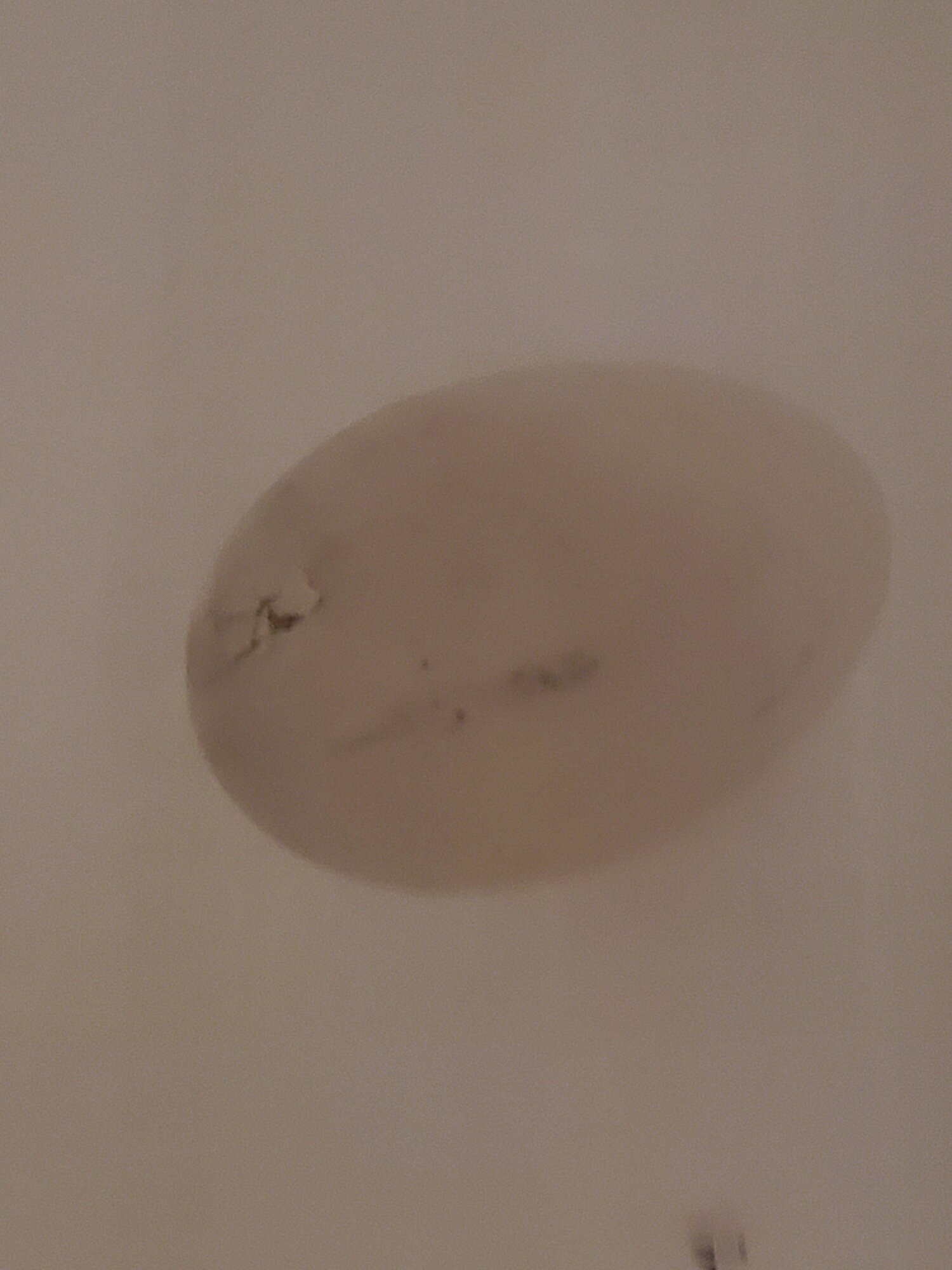 20210123_174513.jpg
