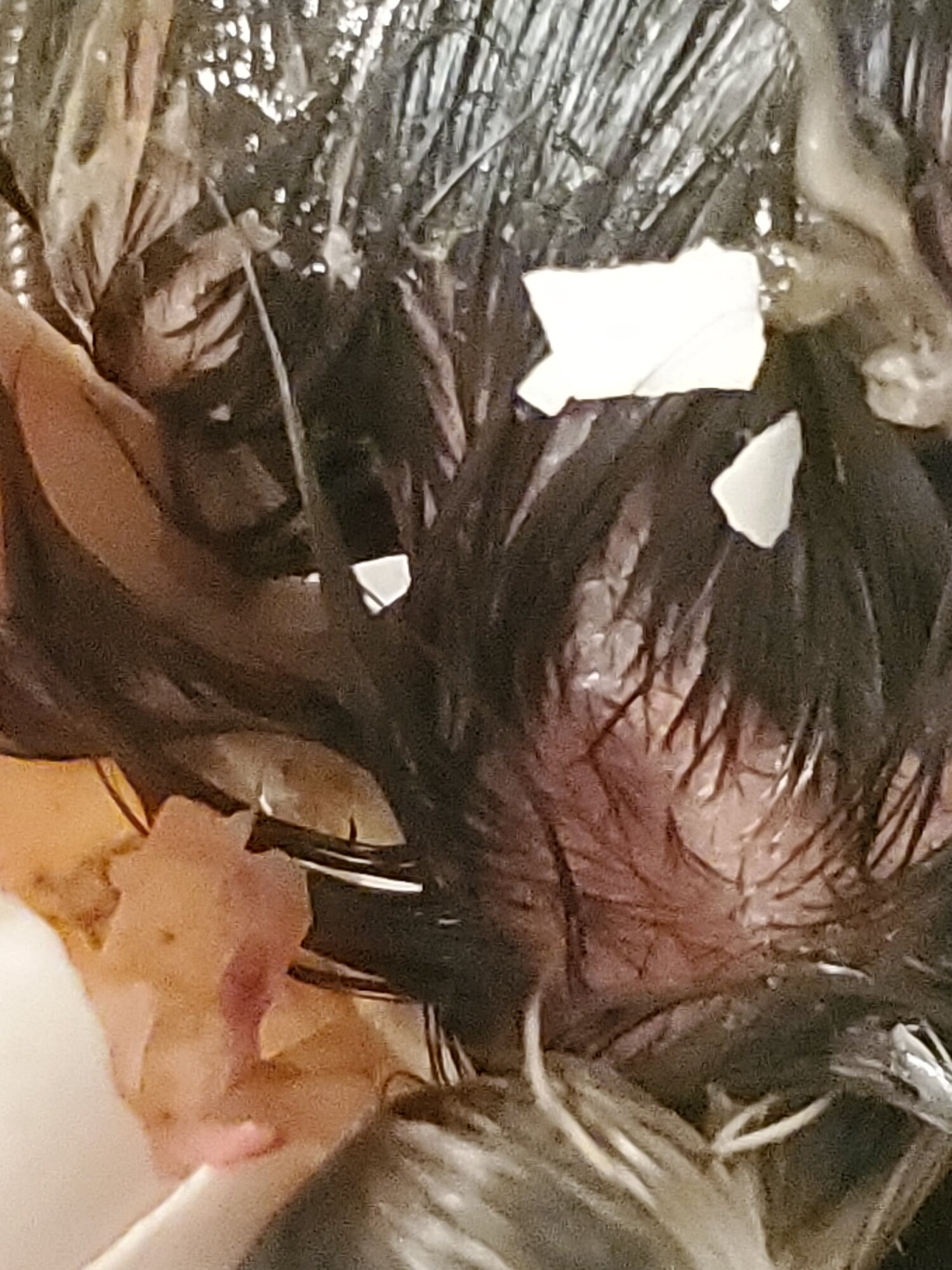 20210124_140039.jpg