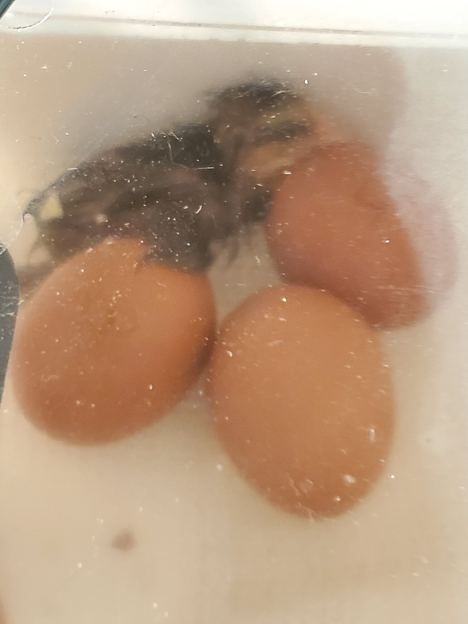 20210309_210332.jpg