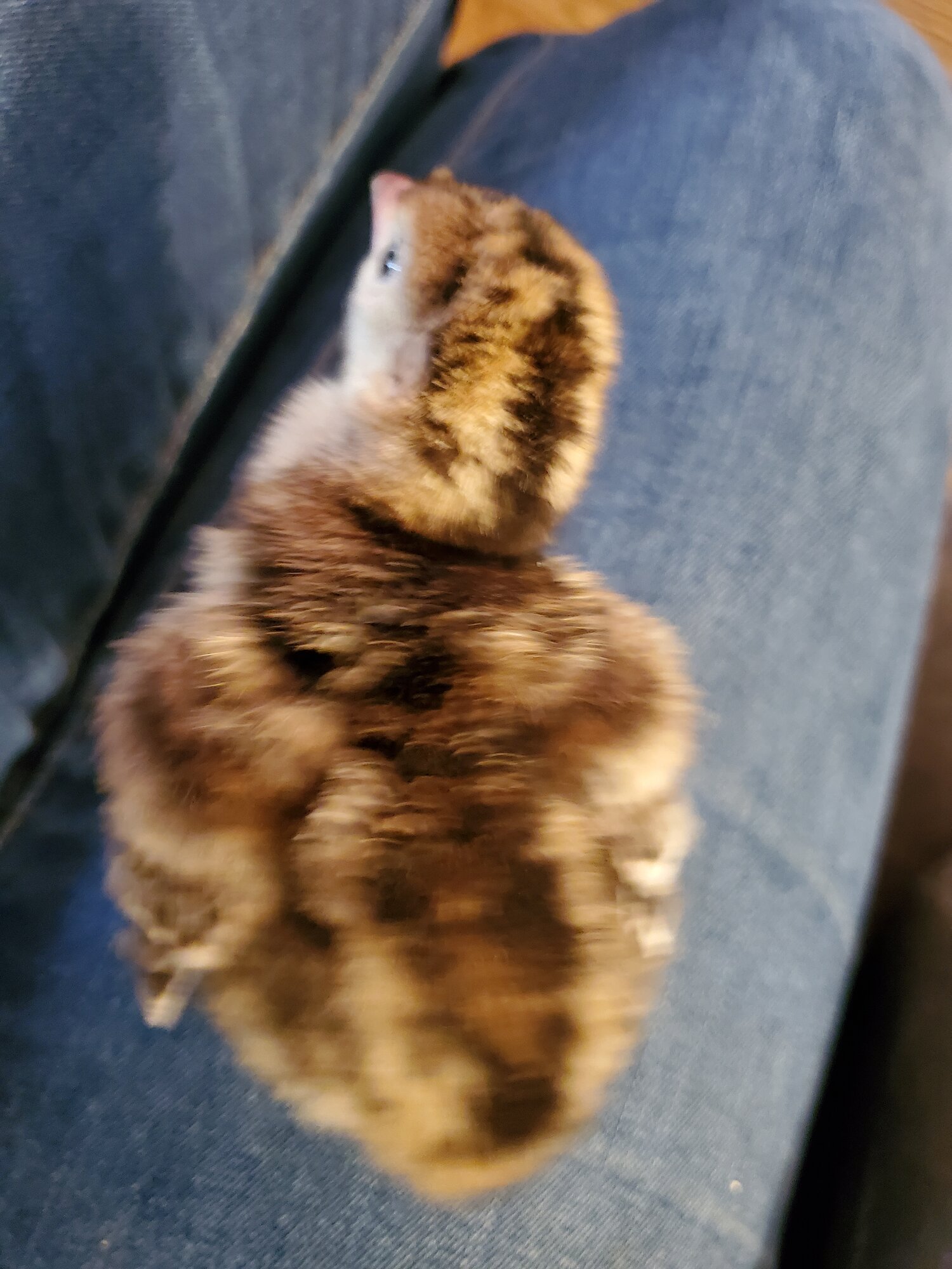 20210327_162838.jpg