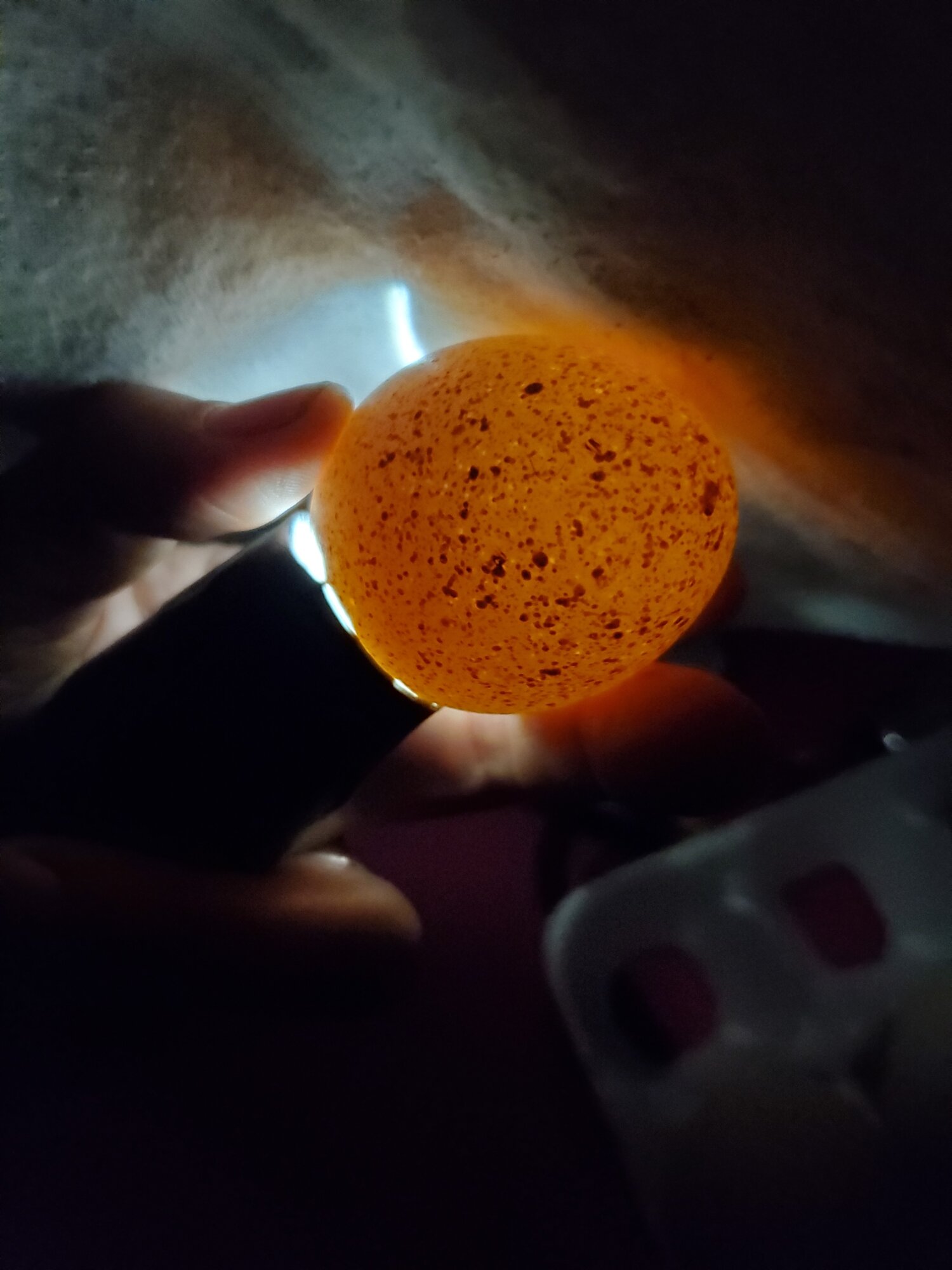 20211024_155110.jpg