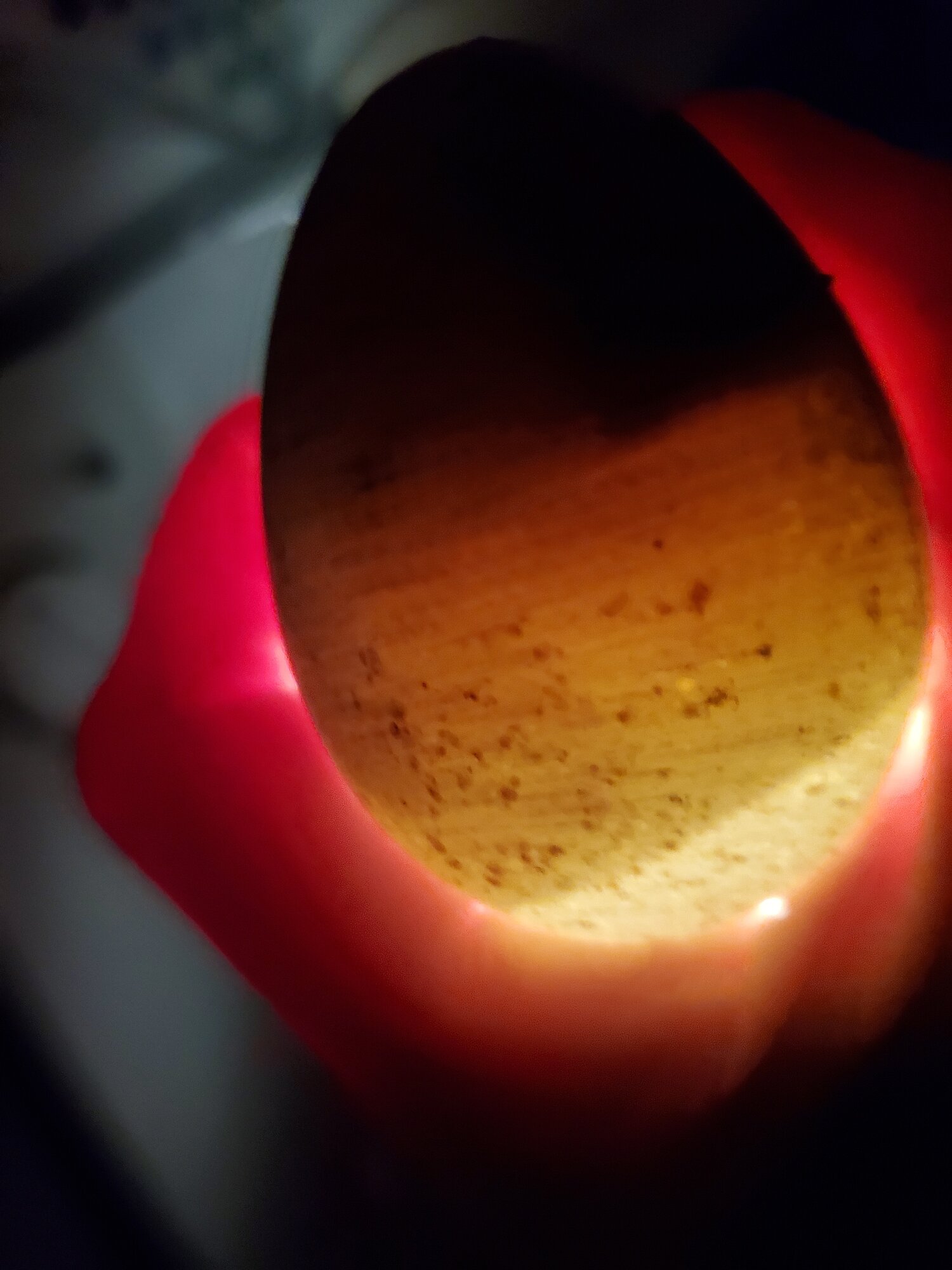 20211029_095335.jpg