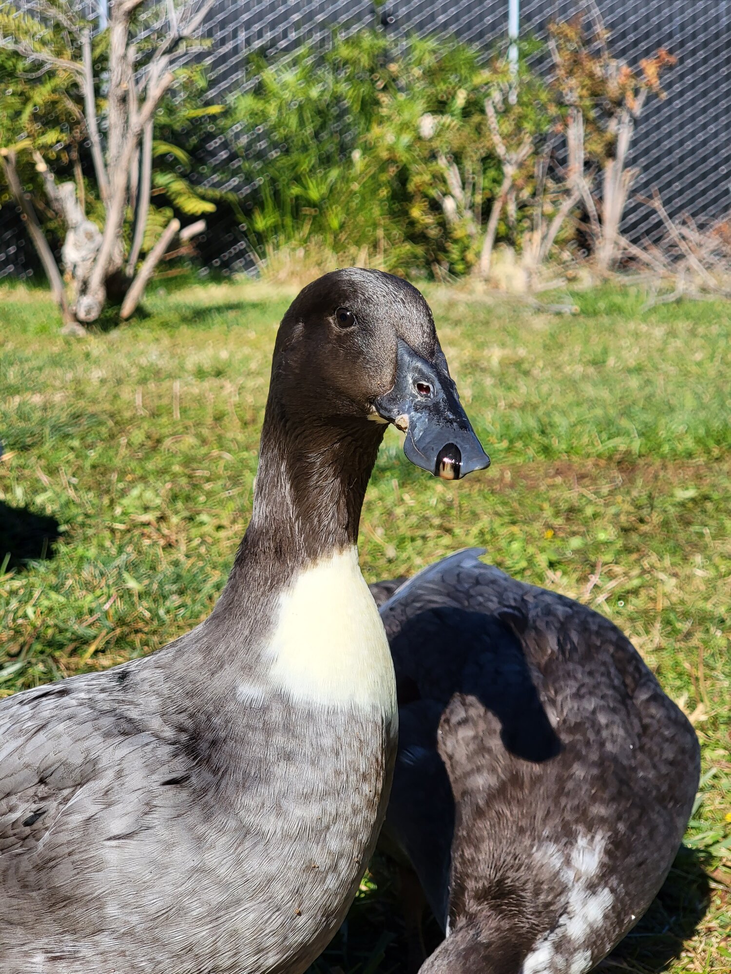 20211107_133438.jpg