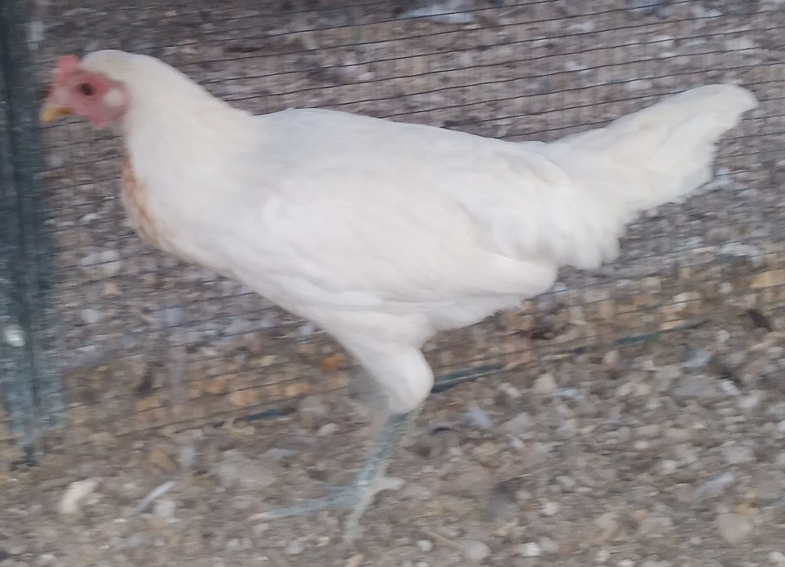 20220723_205510.jpg