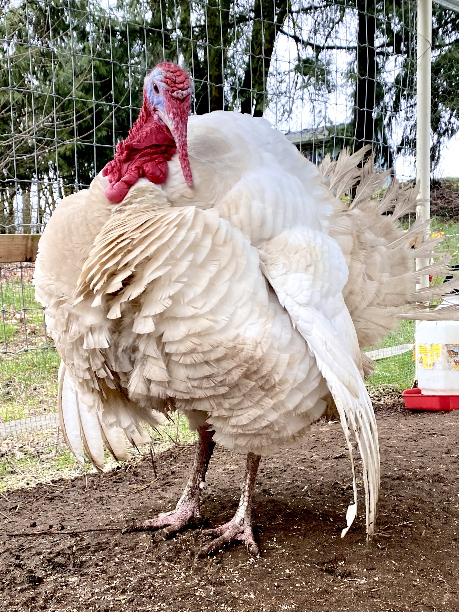 2024—Winter on the Farm Photo Contest 103.jpg