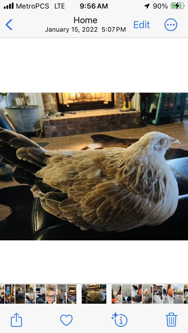 2024—Winter on the Farm Photo Contest 23.png