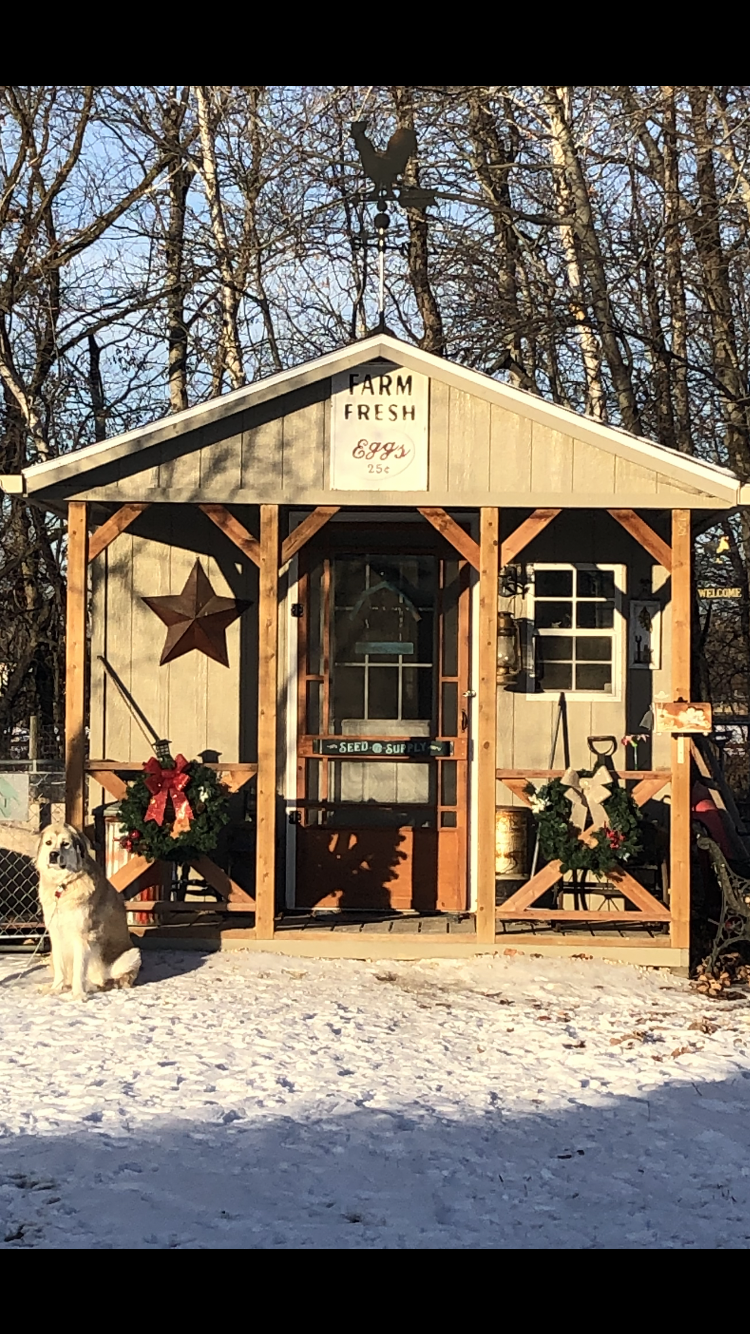 2024—Winter on the Farm Photo Contest 54.png