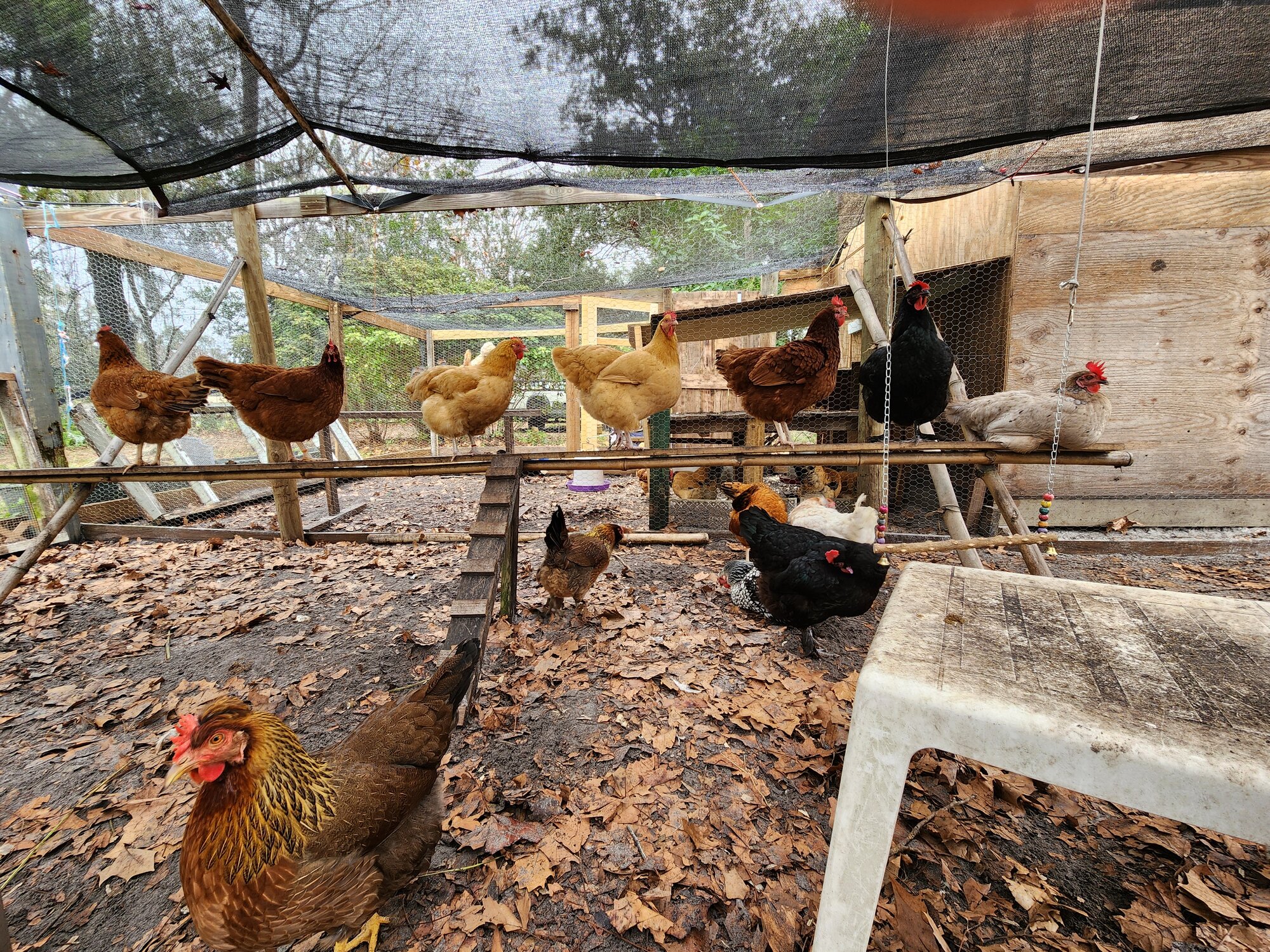 2024—Winter on the Farm Photo Contest 57.jpg
