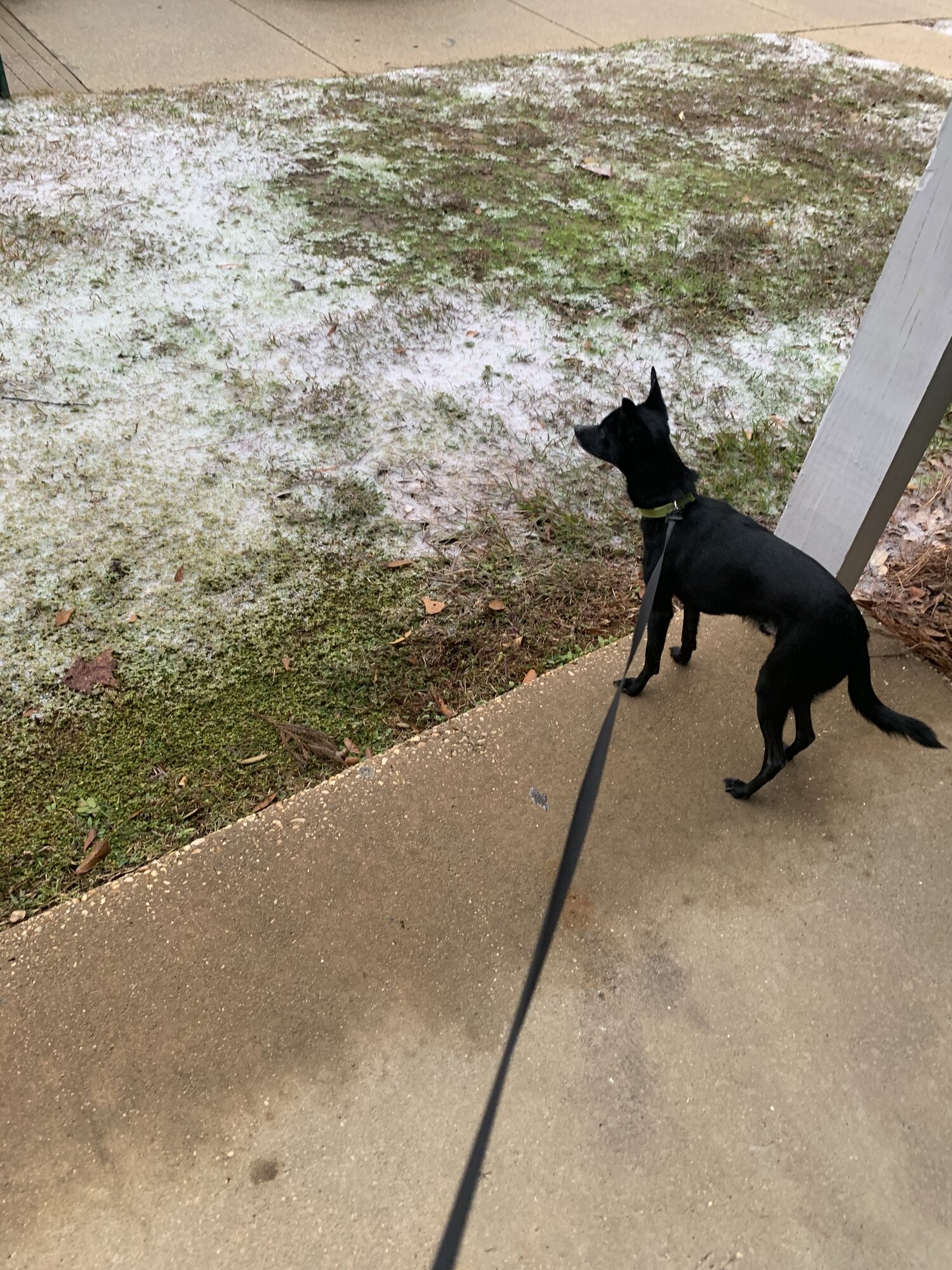 2024—Winter on the Farm Photo Contest 58.jpg