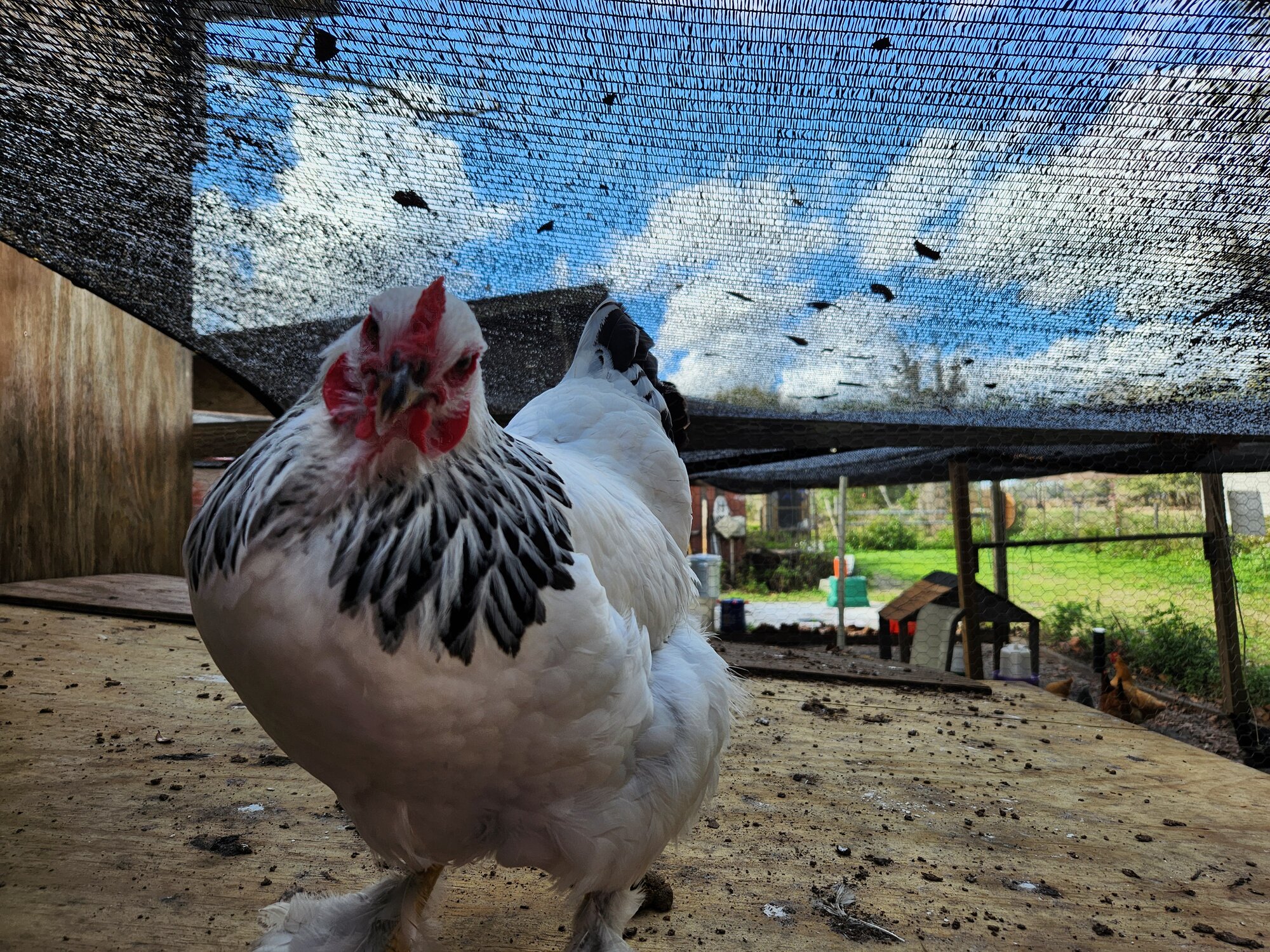 2024—Winter on the Farm Photo Contest 72.jpg