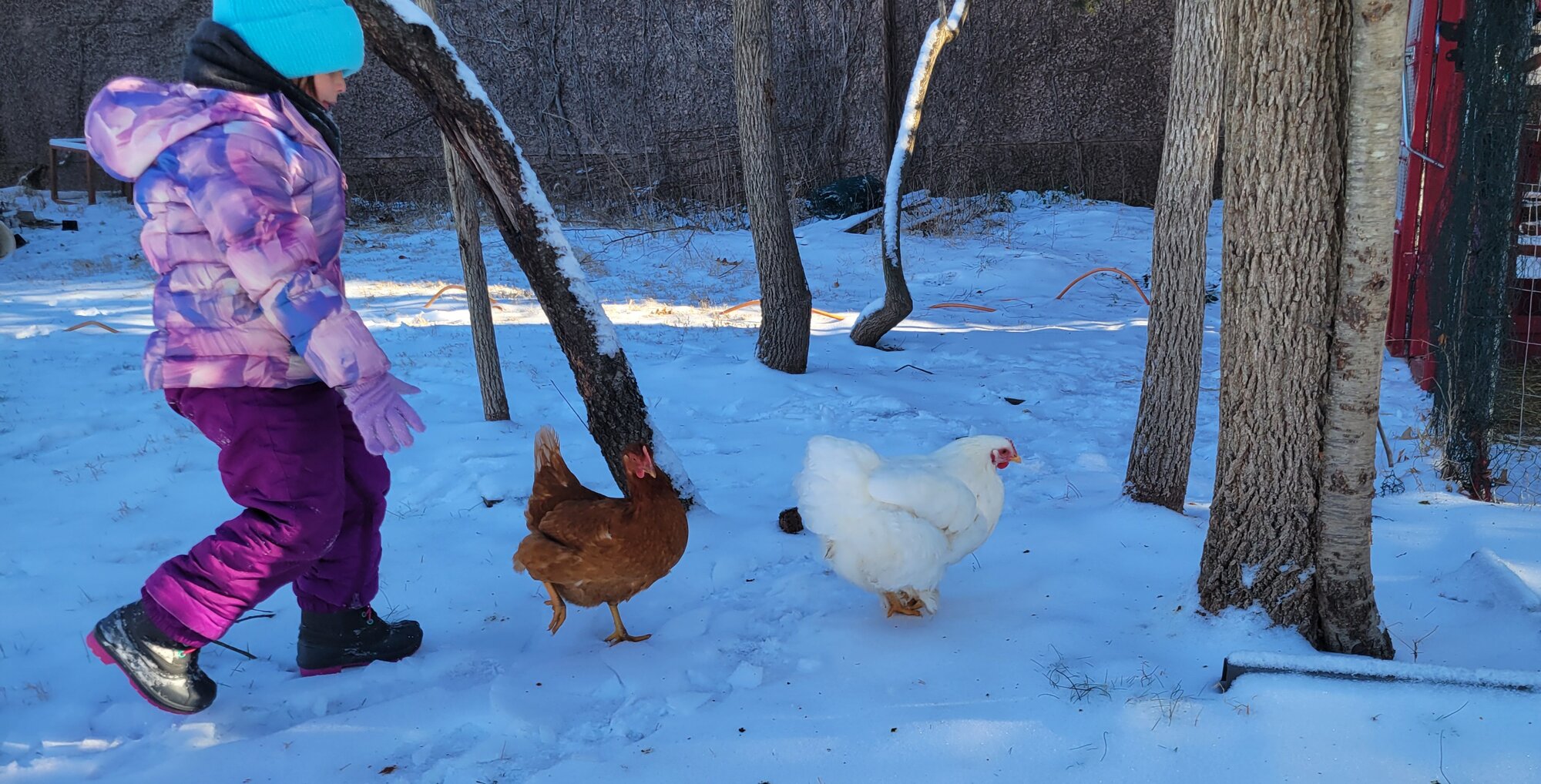 2024—Winter on the Farm Photo Contest 75.jpg