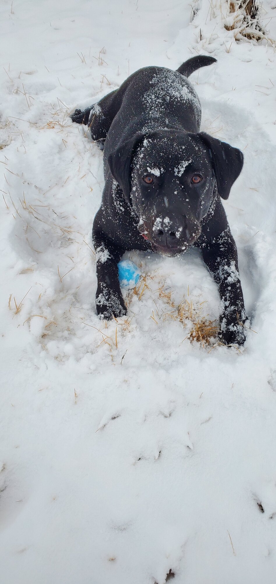 2024—Winter on the Farm Photo Contest 79.jpg