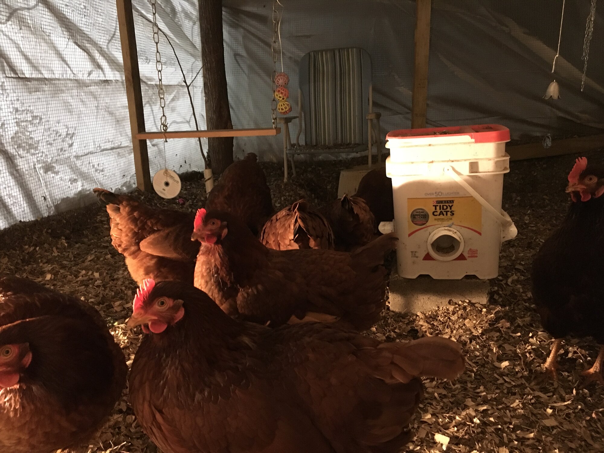 2024—Winter on the Farm Photo Contest 89.jpg