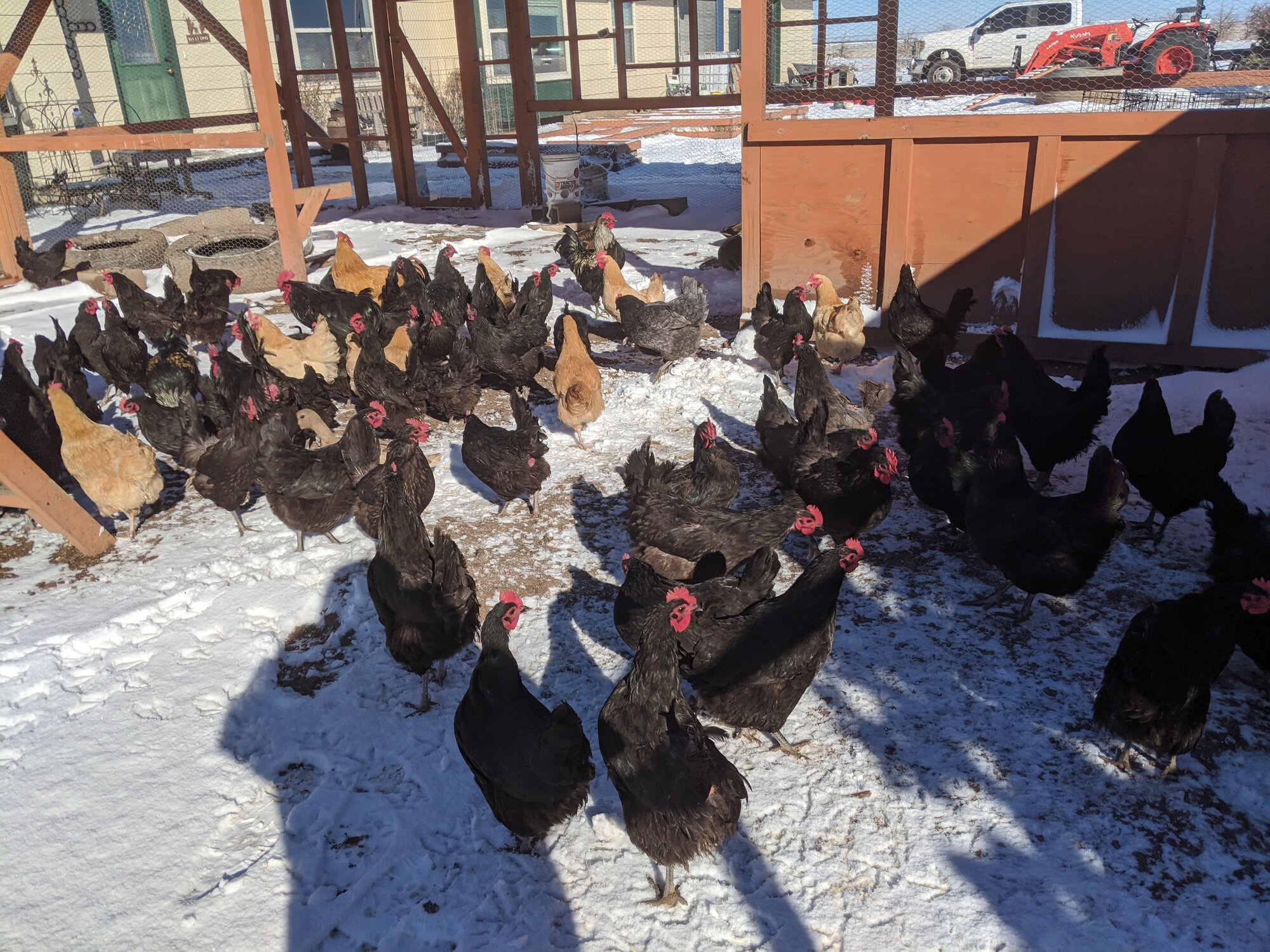 2024—Winter on the Farm Photo Contest 93.jpg